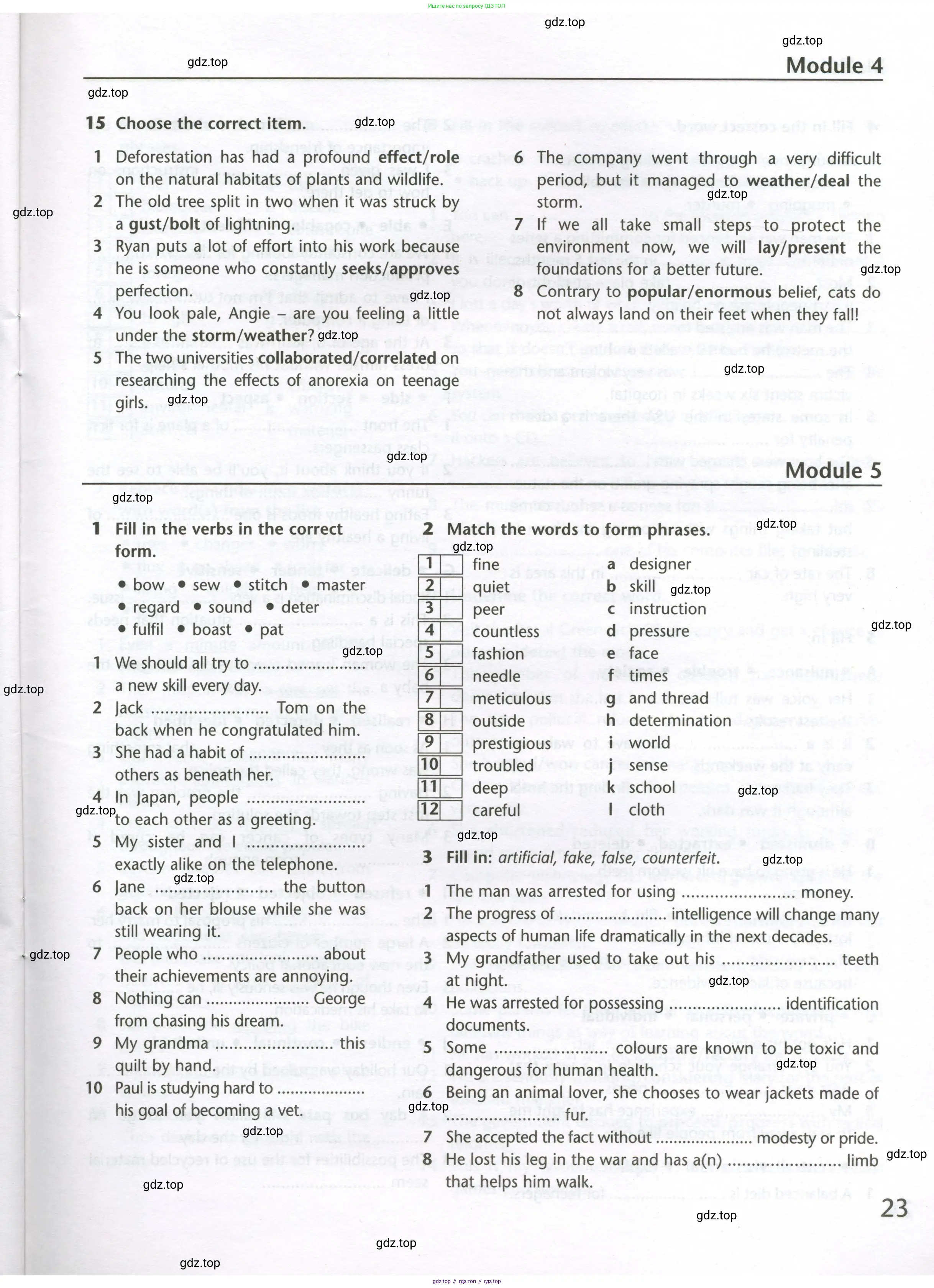 Английский язык (english), 10 класс Лексический практикум (vocabulary practice), авторы: Баранова Ксения Михайловна (Baranova Ksenia), Дули Дженни (Dooley Jenny), Копылова Виктория Викторовна (Kopylova Victoria), Мильруд Радислав Петрович (Millrood Radislav), Эванс Вирджиния (Evans Virginia), издательство Просвещение, Москва, 2019, серого цвета, страница 23