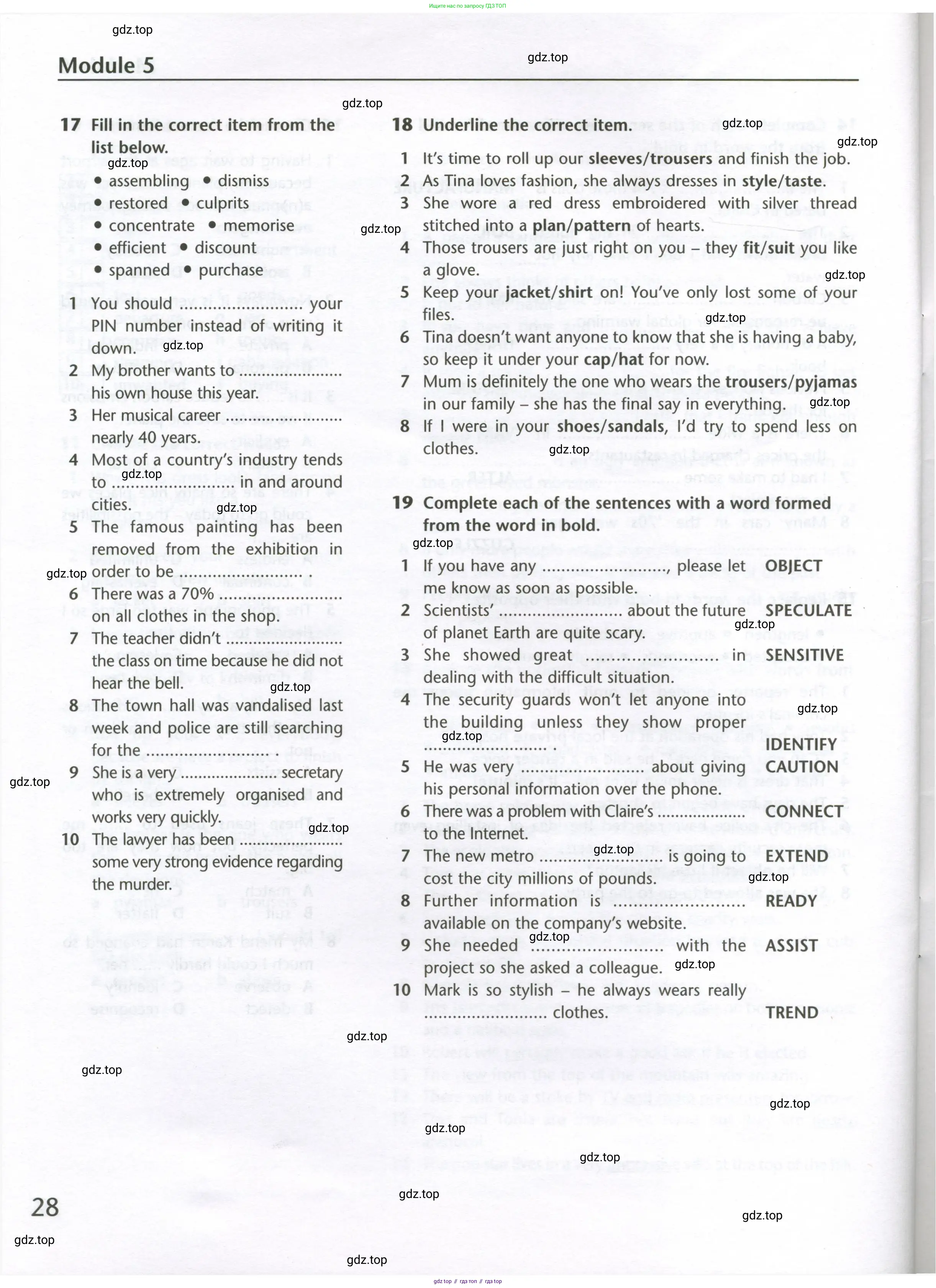 Английский язык (english), 10 класс Лексический практикум (vocabulary practice), авторы: Баранова Ксения Михайловна (Baranova Ksenia), Дули Дженни (Dooley Jenny), Копылова Виктория Викторовна (Kopylova Victoria), Мильруд Радислав Петрович (Millrood Radislav), Эванс Вирджиния (Evans Virginia), издательство Просвещение, Москва, 2019, серого цвета, страница 28