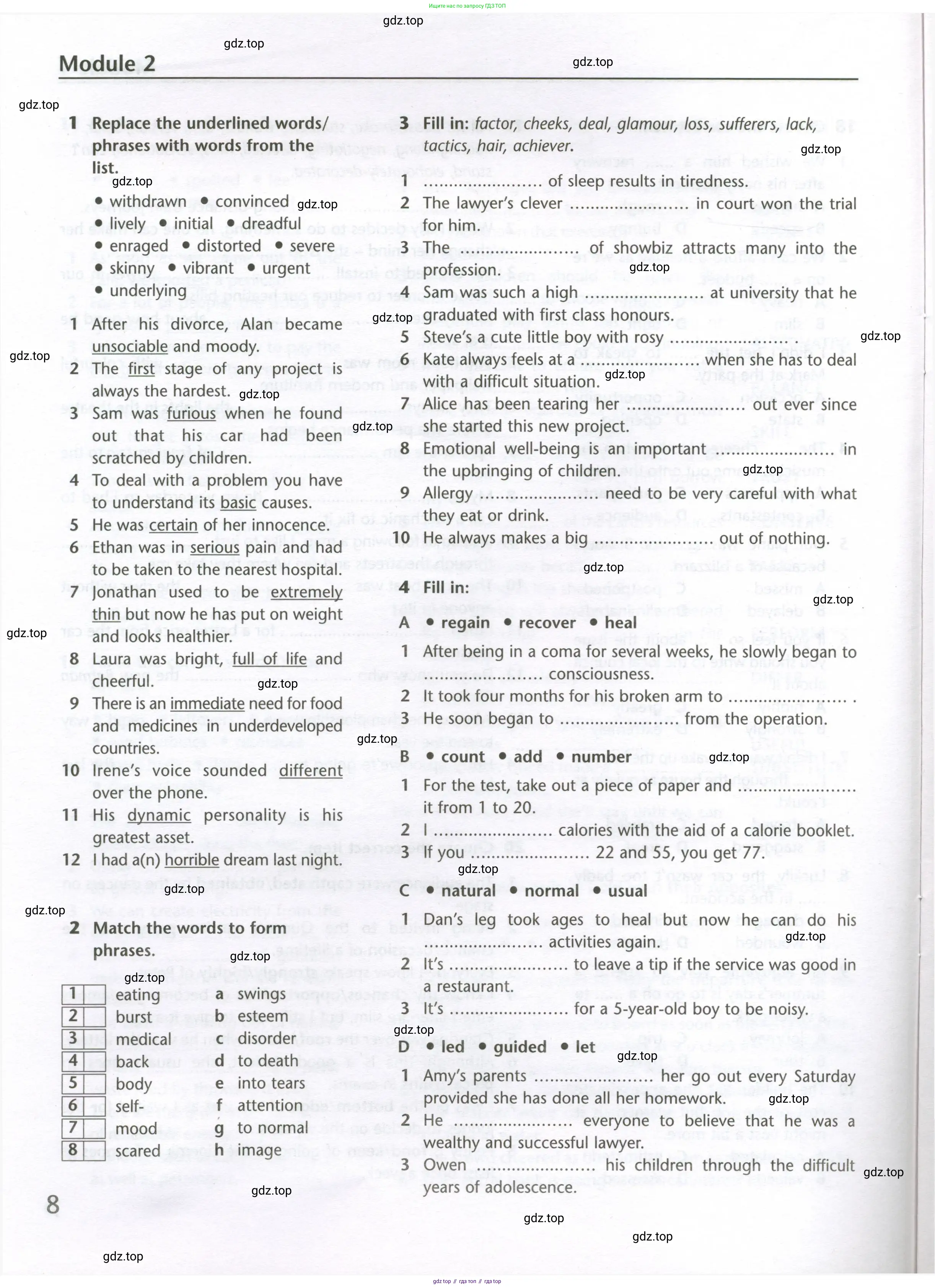 Английский язык (english), 10 класс Лексический практикум (vocabulary practice), авторы: Баранова Ксения Михайловна (Baranova Ksenia), Дули Дженни (Dooley Jenny), Копылова Виктория Викторовна (Kopylova Victoria), Мильруд Радислав Петрович (Millrood Radislav), Эванс Вирджиния (Evans Virginia), издательство Просвещение, Москва, 2019, серого цвета, страница 8