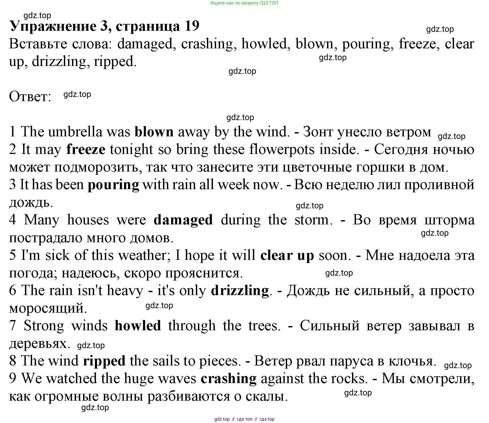 Английский язык (english), 10 класс Лексический практикум (vocabulary practice), авторы: Баранова Ксения Михайловна (Baranova Ksenia), Дули Дженни (Dooley Jenny), Копылова Виктория Викторовна (Kopylova Victoria), Мильруд Радислав Петрович (Millrood Radislav), Эванс Вирджиния (Evans Virginia), издательство Просвещение, Москва, 2019, серого цвета, страница 19, номер 3, Решение 1