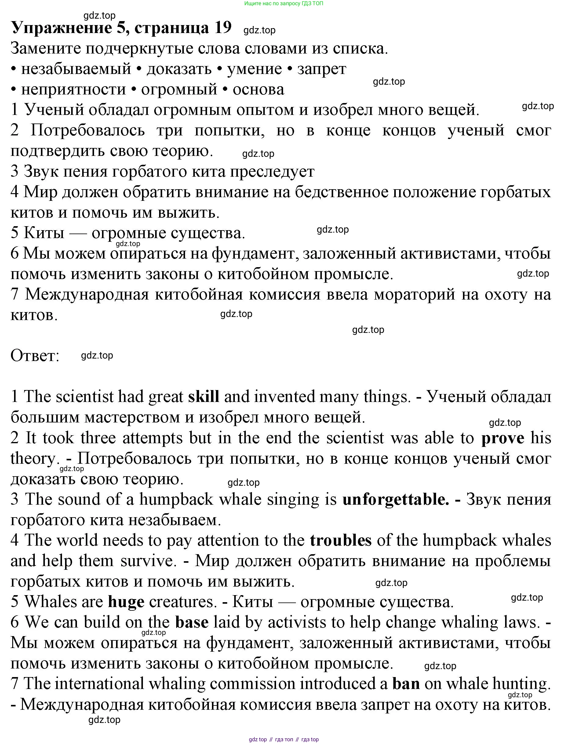 Английский язык (english), 10 класс Лексический практикум (vocabulary practice), авторы: Баранова Ксения Михайловна (Baranova Ksenia), Дули Дженни (Dooley Jenny), Копылова Виктория Викторовна (Kopylova Victoria), Мильруд Радислав Петрович (Millrood Radislav), Эванс Вирджиния (Evans Virginia), издательство Просвещение, Москва, 2019, серого цвета, страница 19, номер 5, Решение 1