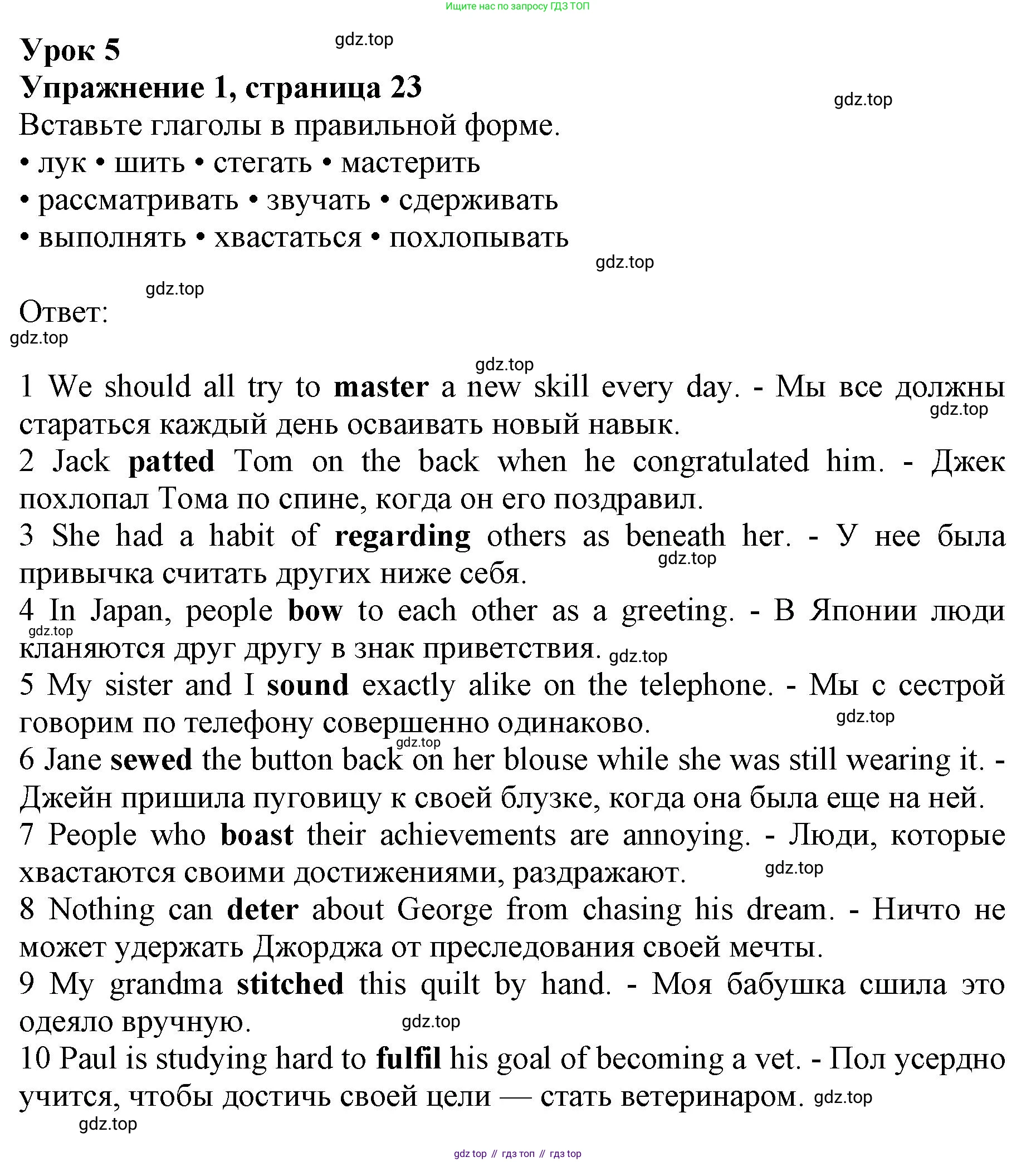 Английский язык (english), 10 класс Лексический практикум (vocabulary practice), авторы: Баранова Ксения Михайловна (Baranova Ksenia), Дули Дженни (Dooley Jenny), Копылова Виктория Викторовна (Kopylova Victoria), Мильруд Радислав Петрович (Millrood Radislav), Эванс Вирджиния (Evans Virginia), издательство Просвещение, Москва, 2019, серого цвета, страница 23, номер 1, Решение 1