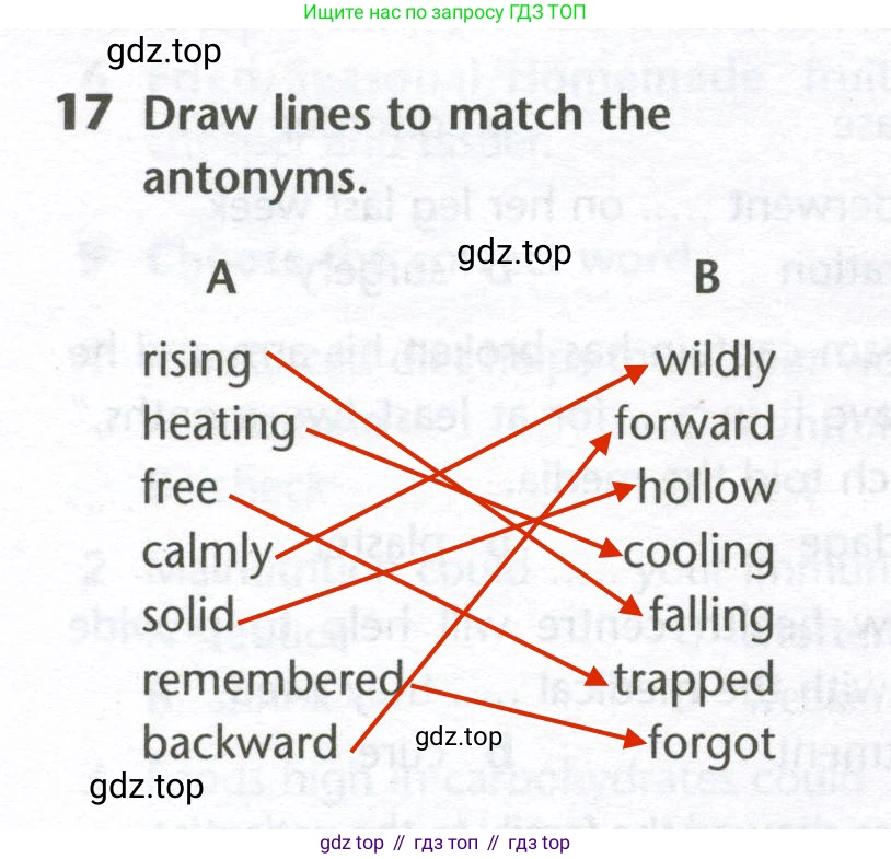 Английский язык (english), 10 класс Лексический практикум (vocabulary practice), авторы: Баранова Ксения Михайловна (Baranova Ksenia), Дули Дженни (Dooley Jenny), Копылова Виктория Викторовна (Kopylova Victoria), Мильруд Радислав Петрович (Millrood Radislav), Эванс Вирджиния (Evans Virginia), издательство Просвещение, Москва, 2019, серого цвета, страница 12, номер 17, Решение 2