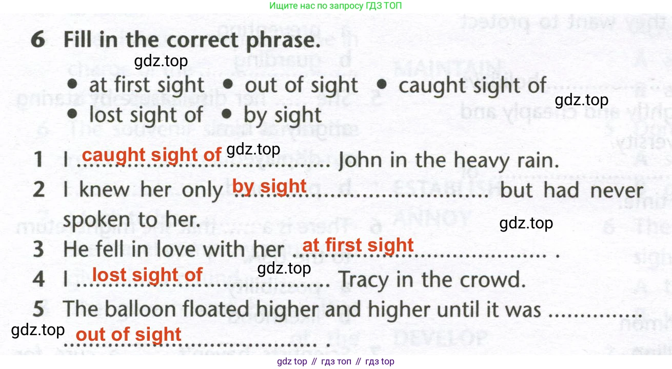 Английский язык (english), 10 класс Лексический практикум (vocabulary practice), авторы: Баранова Ксения Михайловна (Baranova Ksenia), Дули Дженни (Dooley Jenny), Копылова Виктория Викторовна (Kopylova Victoria), Мильруд Радислав Петрович (Millrood Radislav), Эванс Вирджиния (Evans Virginia), издательство Просвещение, Москва, 2019, серого цвета, страница 15, номер 6, Решение 2