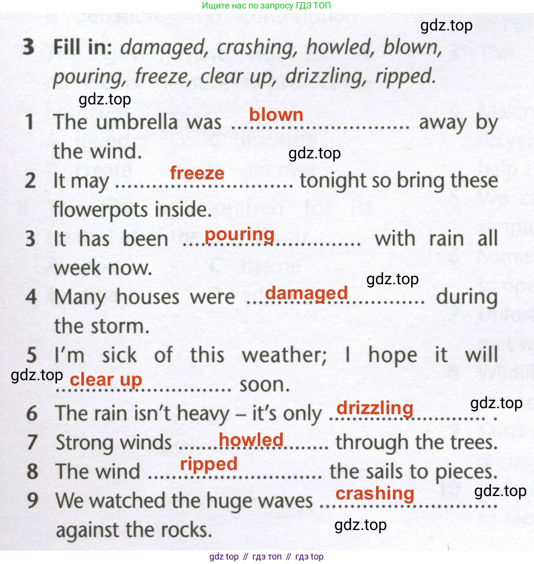 Английский язык (english), 10 класс Лексический практикум (vocabulary practice), авторы: Баранова Ксения Михайловна (Baranova Ksenia), Дули Дженни (Dooley Jenny), Копылова Виктория Викторовна (Kopylova Victoria), Мильруд Радислав Петрович (Millrood Radislav), Эванс Вирджиния (Evans Virginia), издательство Просвещение, Москва, 2019, серого цвета, страница 19, номер 3, Решение 2