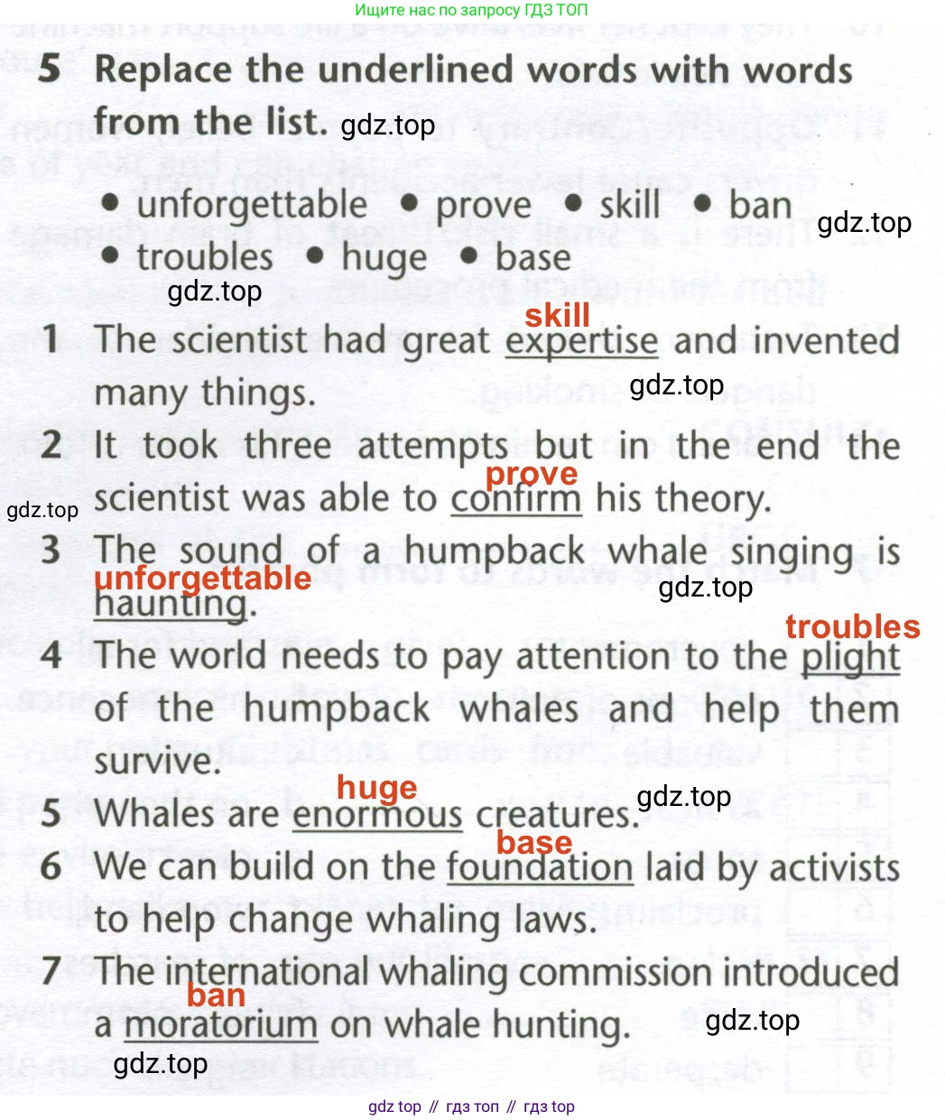 Английский язык (english), 10 класс Лексический практикум (vocabulary practice), авторы: Баранова Ксения Михайловна (Baranova Ksenia), Дули Дженни (Dooley Jenny), Копылова Виктория Викторовна (Kopylova Victoria), Мильруд Радислав Петрович (Millrood Radislav), Эванс Вирджиния (Evans Virginia), издательство Просвещение, Москва, 2019, серого цвета, страница 19, номер 5, Решение 2