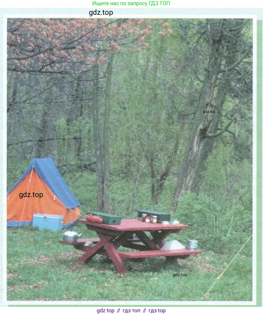 ГДЗ Английский язык (english), 10 класс Учебник (Student's book), авторы: Баранова Ксения Михайловна (Baranova Ksenia), Дули Дженни (Dooley Jenny), Копылова Виктория Викторовна (Kopylova Victoria), Мильруд Радислав Петрович (Millrood Radislav), Эванс Вирджиния (Evans Virginia), издательство Просвещение, Москва, 2019, белого цвета, страница 94, номер 1, Условие (продолжение 2)