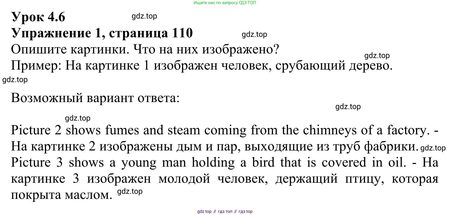 ГДЗ Английский язык (english), 10 класс Учебник (Student's book), авторы: Баранова Ксения Михайловна (Baranova Ksenia), Дули Дженни (Dooley Jenny), Копылова Виктория Викторовна (Kopylova Victoria), Мильруд Радислав Петрович (Millrood Radislav), Эванс Вирджиния (Evans Virginia), издательство Просвещение, Москва, 2019, белого цвета, страница 110, номер 1, Решение 1