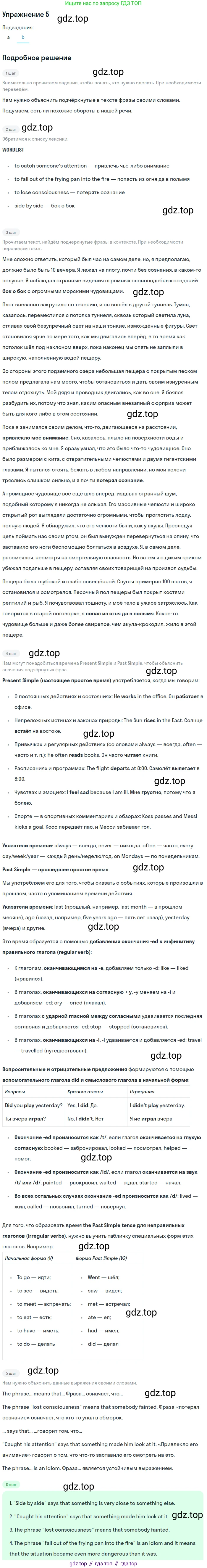 ГДЗ Английский язык (english), 10 класс Учебник (Student's book), авторы: Баранова Ксения Михайловна (Baranova Ksenia), Дули Дженни (Dooley Jenny), Копылова Виктория Викторовна (Kopylova Victoria), Мильруд Радислав Петрович (Millrood Radislav), Эванс Вирджиния (Evans Virginia), издательство Просвещение, Москва, 2019, белого цвета, страница 28, номер 5, Решение 2 (продолжение 2)