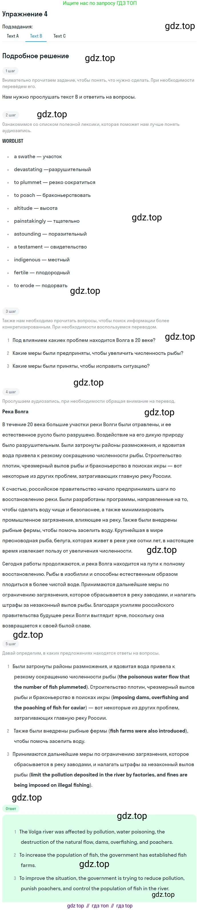ГДЗ Английский язык (english), 10 класс Учебник (Student's book), авторы: Баранова Ксения Михайловна (Baranova Ksenia), Дули Дженни (Dooley Jenny), Копылова Виктория Викторовна (Kopylova Victoria), Мильруд Радислав Петрович (Millrood Radislav), Эванс Вирджиния (Evans Virginia), издательство Просвещение, Москва, 2019, белого цвета, страница 120, номер 4, Решение 2 (продолжение 2)