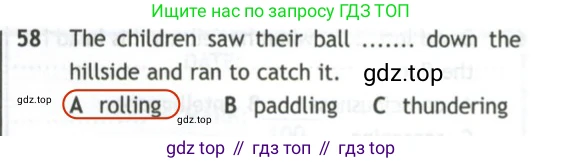 Английский язык (english), 10 класс контрольные задания (test booklet), авторы: Афанасьева Ольга Васильевна (Afanasyeva Olga), Дули Дженни (Dooley Jenny), Михеева Ирина Владимировна (Mikheeva Irina), Эванс Вирджиния (Evans Virginia), издательство Просвещение, Москва, 2019, красного цвета, страница 7, номер 58, Решение 2