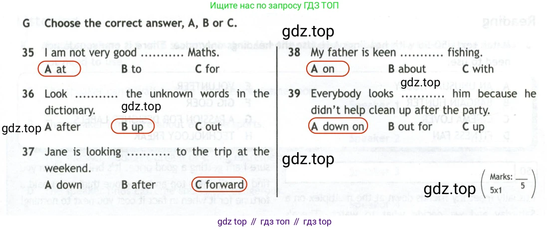 Английский язык (english), 10 класс контрольные задания (test booklet), авторы: Афанасьева Ольга Васильевна (Afanasyeva Olga), Дули Дженни (Dooley Jenny), Михеева Ирина Владимировна (Mikheeva Irina), Эванс Вирджиния (Evans Virginia), издательство Просвещение, Москва, 2019, красного цвета, страница 11, номер G, Решение 2