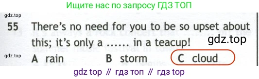 Английский язык (english), 10 класс контрольные задания (test booklet), авторы: Афанасьева Ольга Васильевна (Afanasyeva Olga), Дули Дженни (Dooley Jenny), Михеева Ирина Владимировна (Mikheeva Irina), Эванс Вирджиния (Evans Virginia), издательство Просвещение, Москва, 2019, красного цвета, страница 33, номер 55, Решение 2