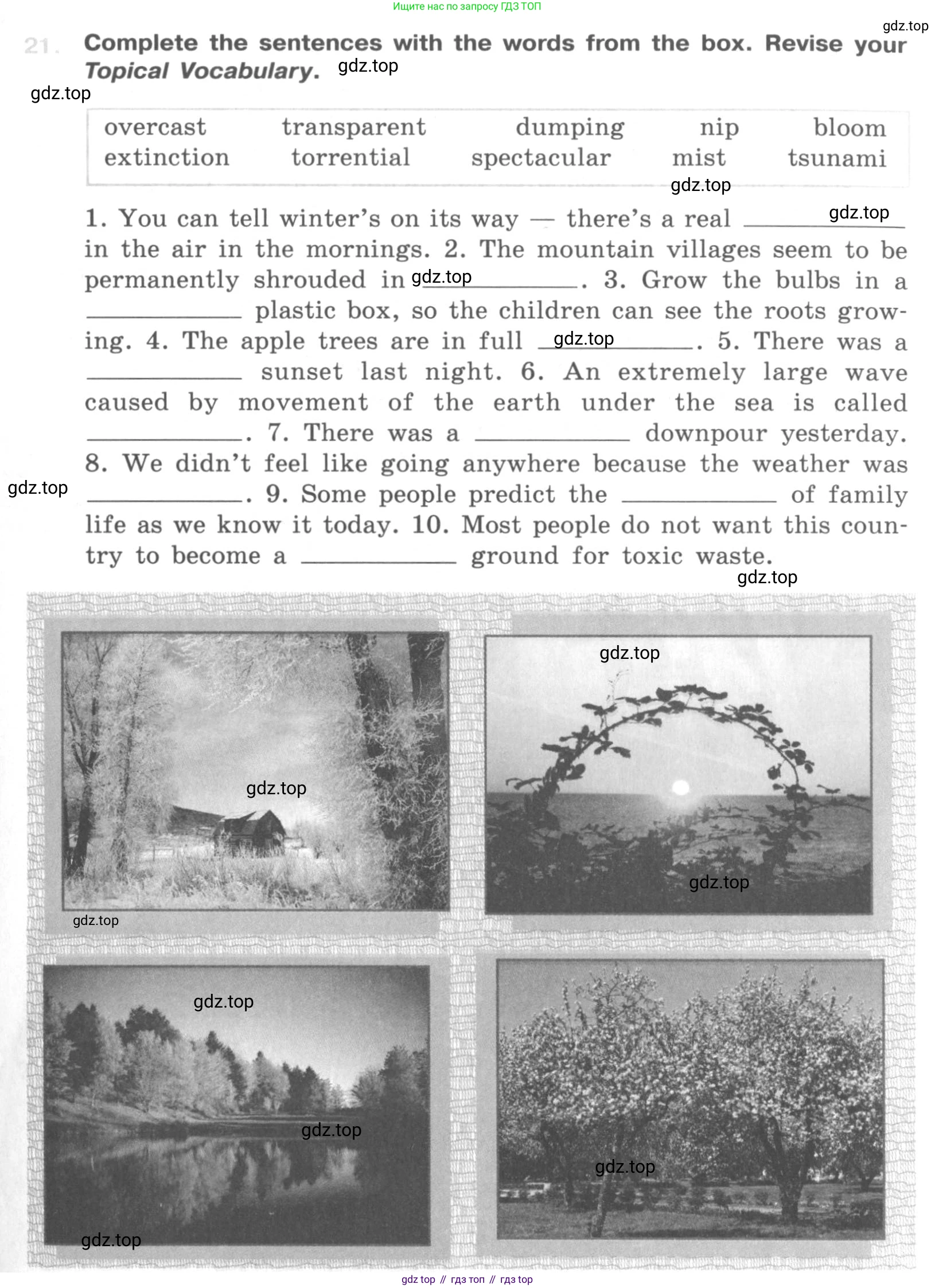 ГДЗ Английский язык (english), 10 класс рабочая тетрадь (activity book), авторы: Афанасьева Ольга Васильевна (Afanasyeva Olga), Михеева Ирина Владимировна (Mikheeva Irina), Петрова Наталья Юрьевна, Мичугина Светлана Викторовна, издательство Просвещение, Москва, 2014, оранжевого цвета, страница 51, номер 21, Условие