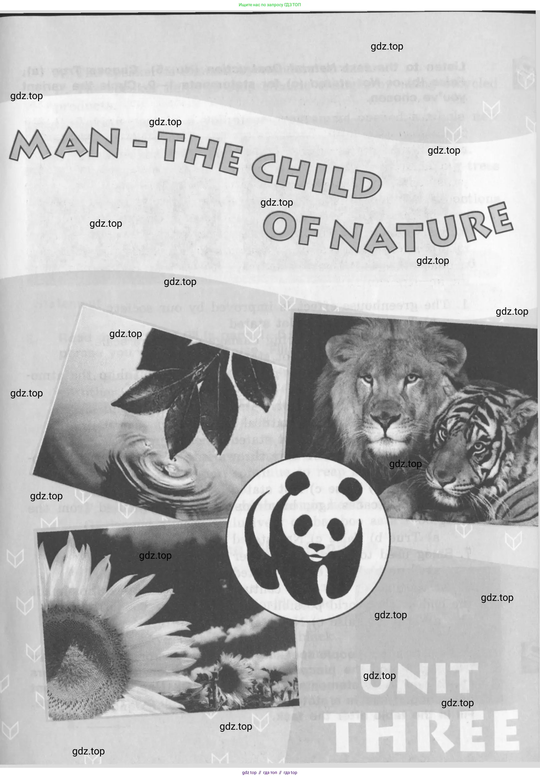 Английский язык (english), 10 класс рабочая тетрадь (activity book), авторы: Афанасьева Ольга Васильевна (Afanasyeva Olga), Михеева Ирина Владимировна (Mikheeva Irina), Петрова Наталья Юрьевна, Мичугина Светлана Викторовна, издательство Просвещение, Москва, 2014, оранжевого цвета, страница 39