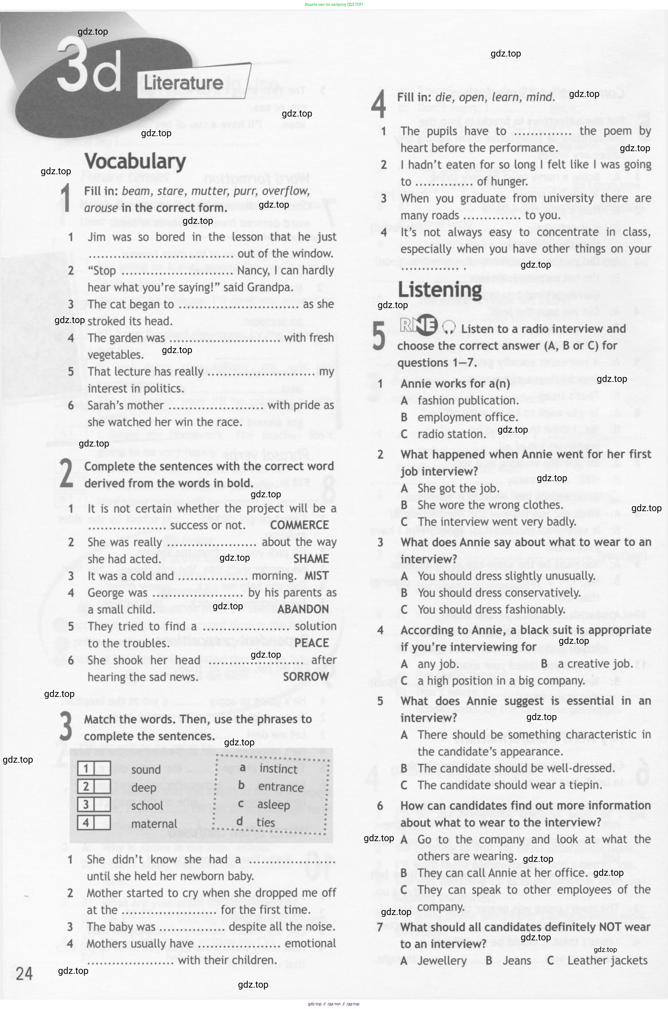 Английский язык (english), 10 класс Рабочая тетрадь (workbook), авторы: Афанасьева Ольга Васильевна (Afanasyeva Olga), Дули Дженни (Dooley Jenny), Михеева Ирина Владимировна (Mikheeva Irina), Оби Боб (Obee Bob), Эванс Вирджиния (Evans Virginia), издательство Просвещение, Москва, 2019, красного цвета, страница 24