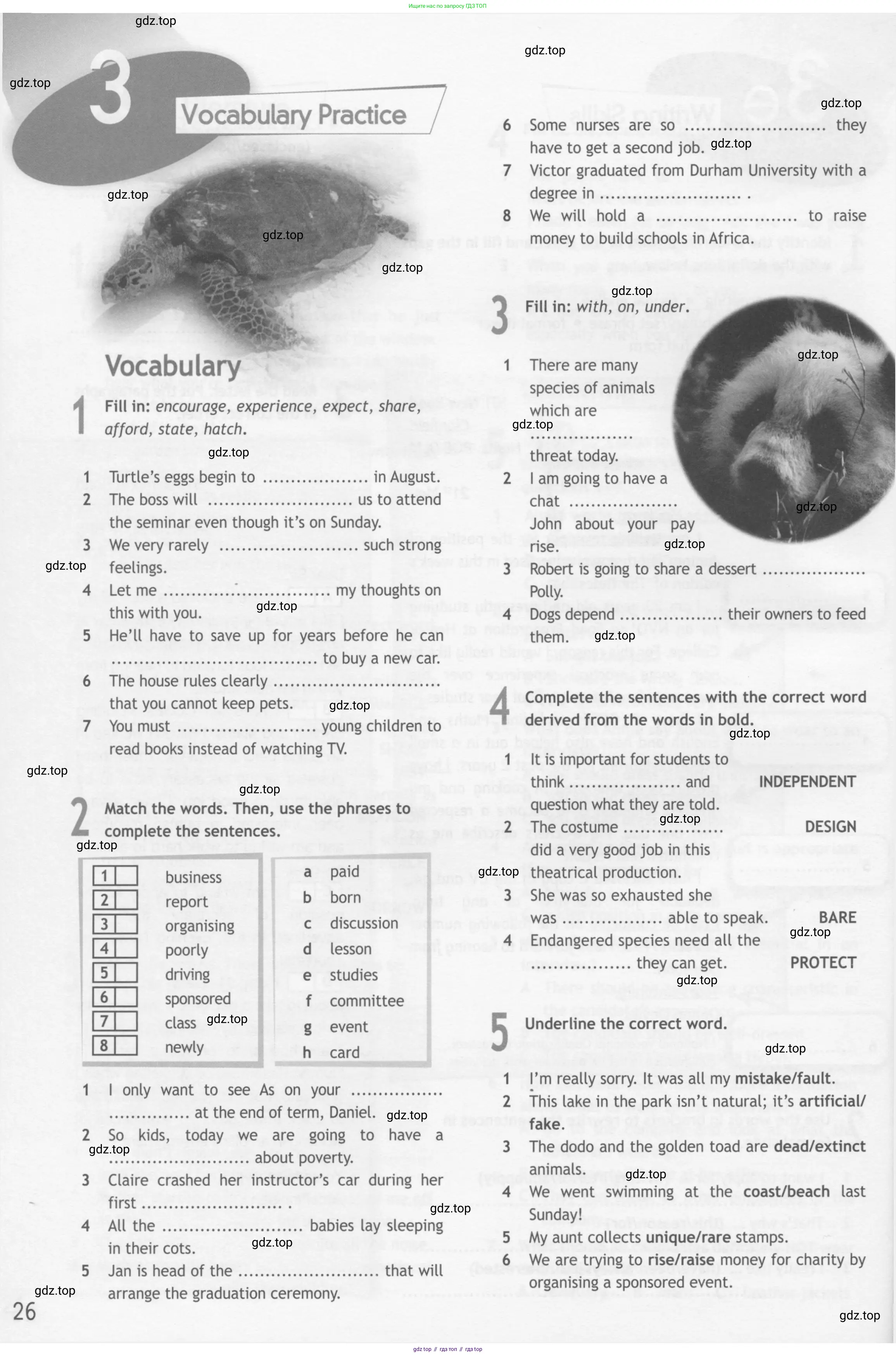 Английский язык (english), 10 класс Рабочая тетрадь (workbook), авторы: Афанасьева Ольга Васильевна (Afanasyeva Olga), Дули Дженни (Dooley Jenny), Михеева Ирина Владимировна (Mikheeva Irina), Оби Боб (Obee Bob), Эванс Вирджиния (Evans Virginia), издательство Просвещение, Москва, 2019, красного цвета, страница 26