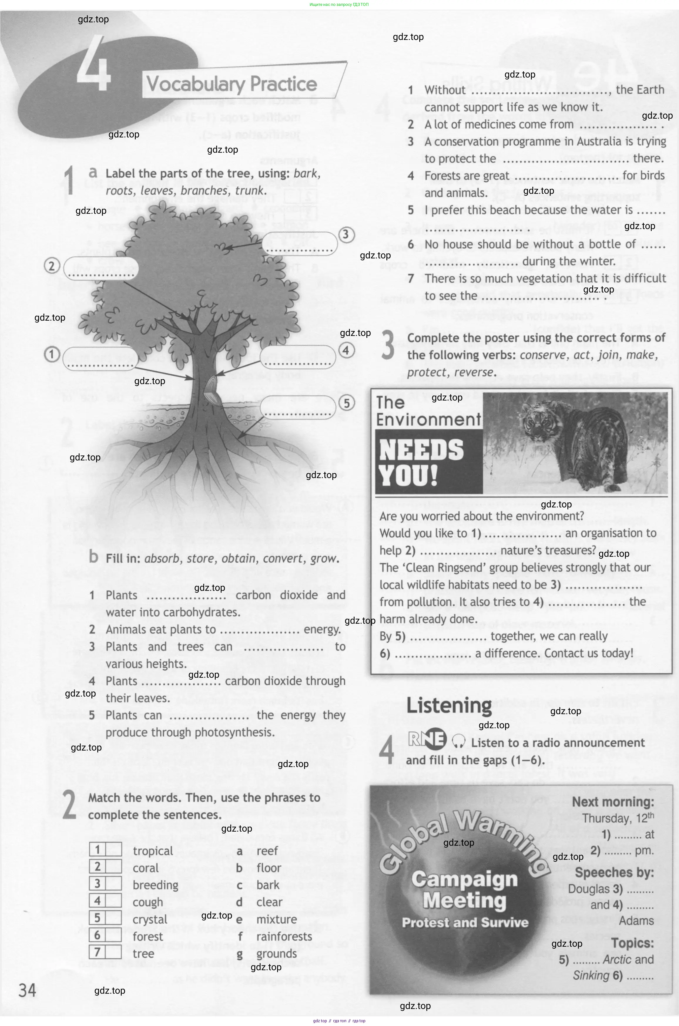 Английский язык (english), 10 класс Рабочая тетрадь (workbook), авторы: Афанасьева Ольга Васильевна (Afanasyeva Olga), Дули Дженни (Dooley Jenny), Михеева Ирина Владимировна (Mikheeva Irina), Оби Боб (Obee Bob), Эванс Вирджиния (Evans Virginia), издательство Просвещение, Москва, 2019, красного цвета, страница 34