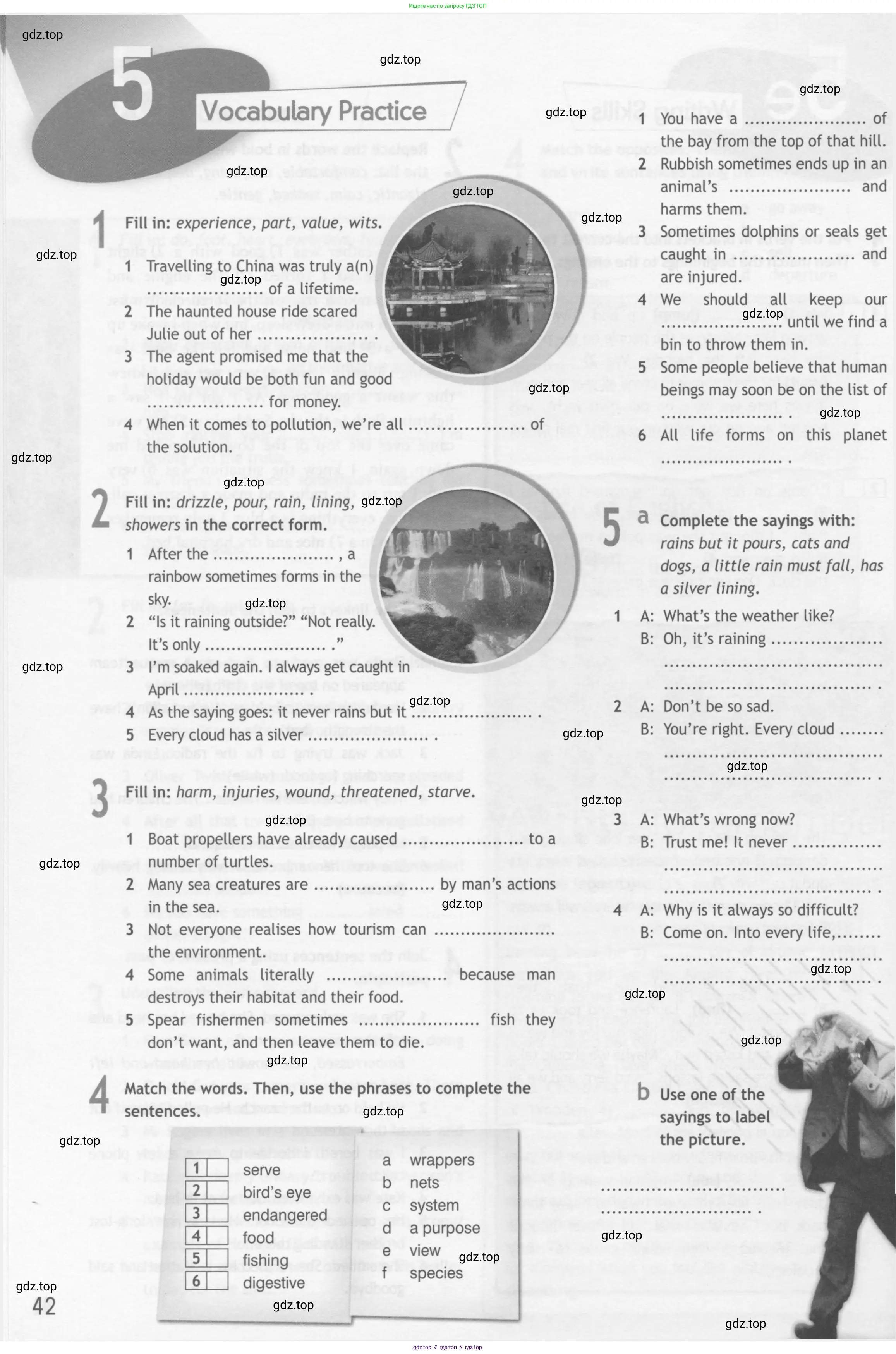 Английский язык (english), 10 класс Рабочая тетрадь (workbook), авторы: Афанасьева Ольга Васильевна (Afanasyeva Olga), Дули Дженни (Dooley Jenny), Михеева Ирина Владимировна (Mikheeva Irina), Оби Боб (Obee Bob), Эванс Вирджиния (Evans Virginia), издательство Просвещение, Москва, 2019, красного цвета, страница 42