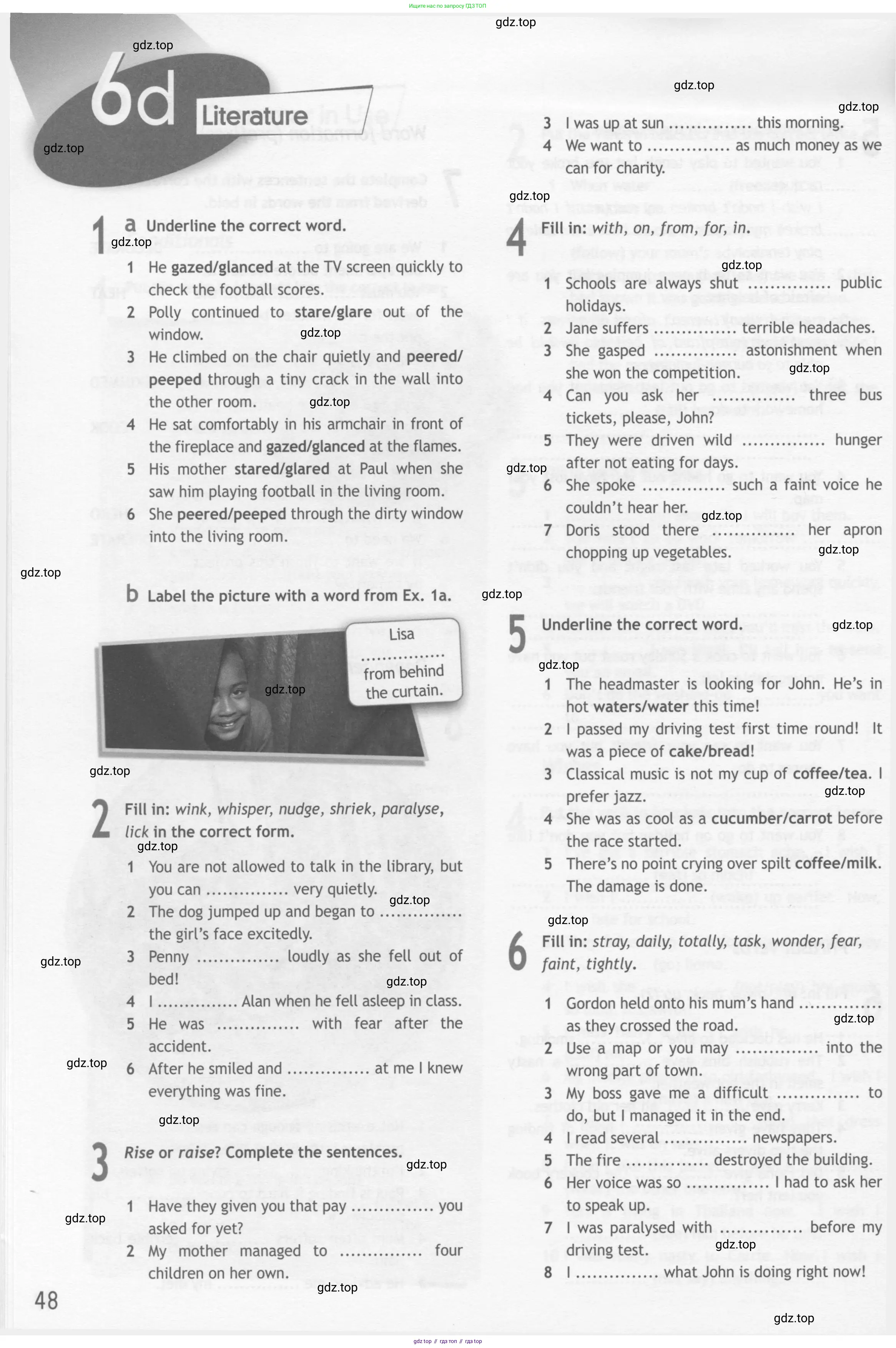 Английский язык (english), 10 класс Рабочая тетрадь (workbook), авторы: Афанасьева Ольга Васильевна (Afanasyeva Olga), Дули Дженни (Dooley Jenny), Михеева Ирина Владимировна (Mikheeva Irina), Оби Боб (Obee Bob), Эванс Вирджиния (Evans Virginia), издательство Просвещение, Москва, 2019, красного цвета, страница 48