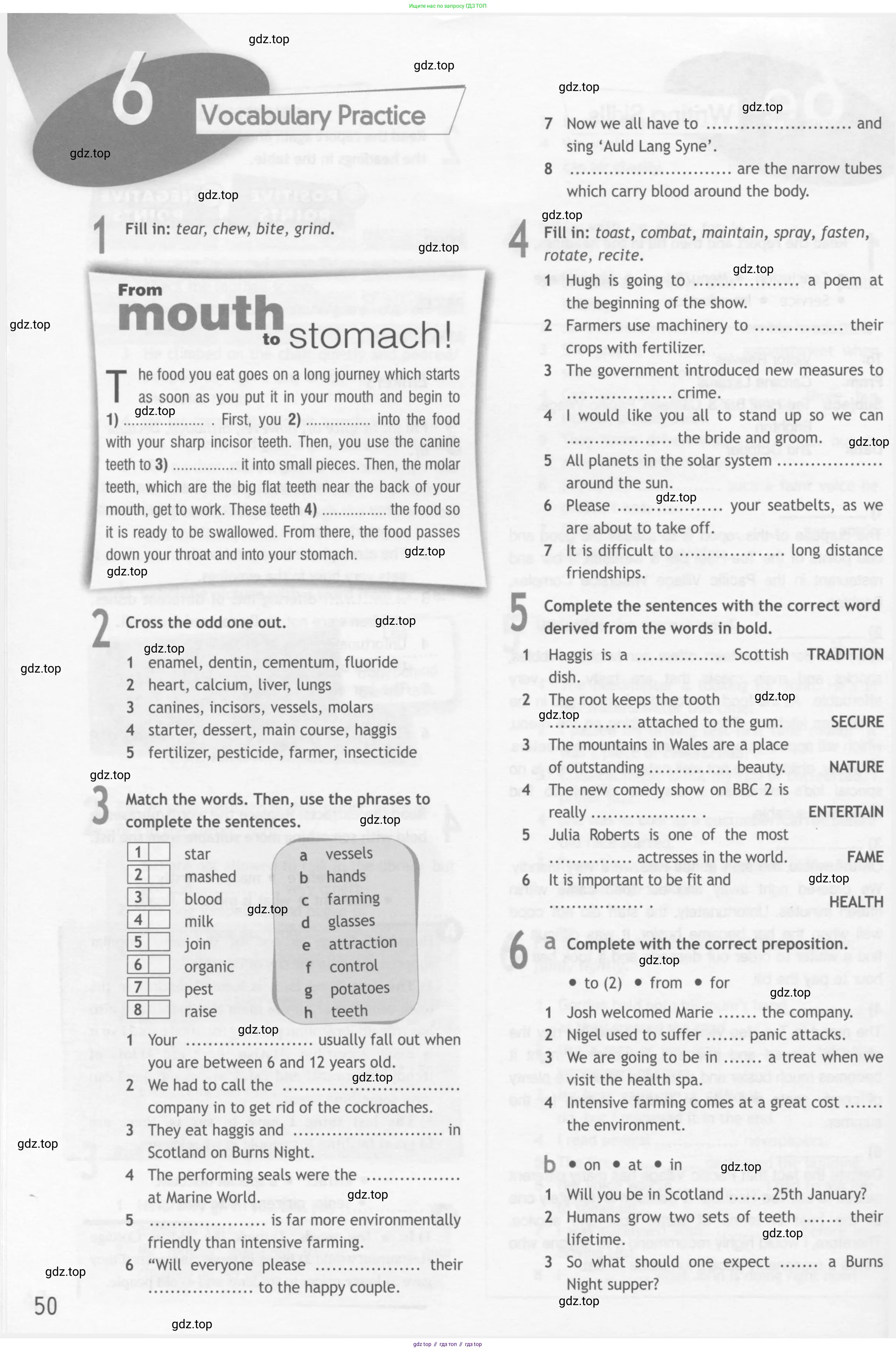 Английский язык (english), 10 класс Рабочая тетрадь (workbook), авторы: Афанасьева Ольга Васильевна (Afanasyeva Olga), Дули Дженни (Dooley Jenny), Михеева Ирина Владимировна (Mikheeva Irina), Оби Боб (Obee Bob), Эванс Вирджиния (Evans Virginia), издательство Просвещение, Москва, 2019, красного цвета, страница 50