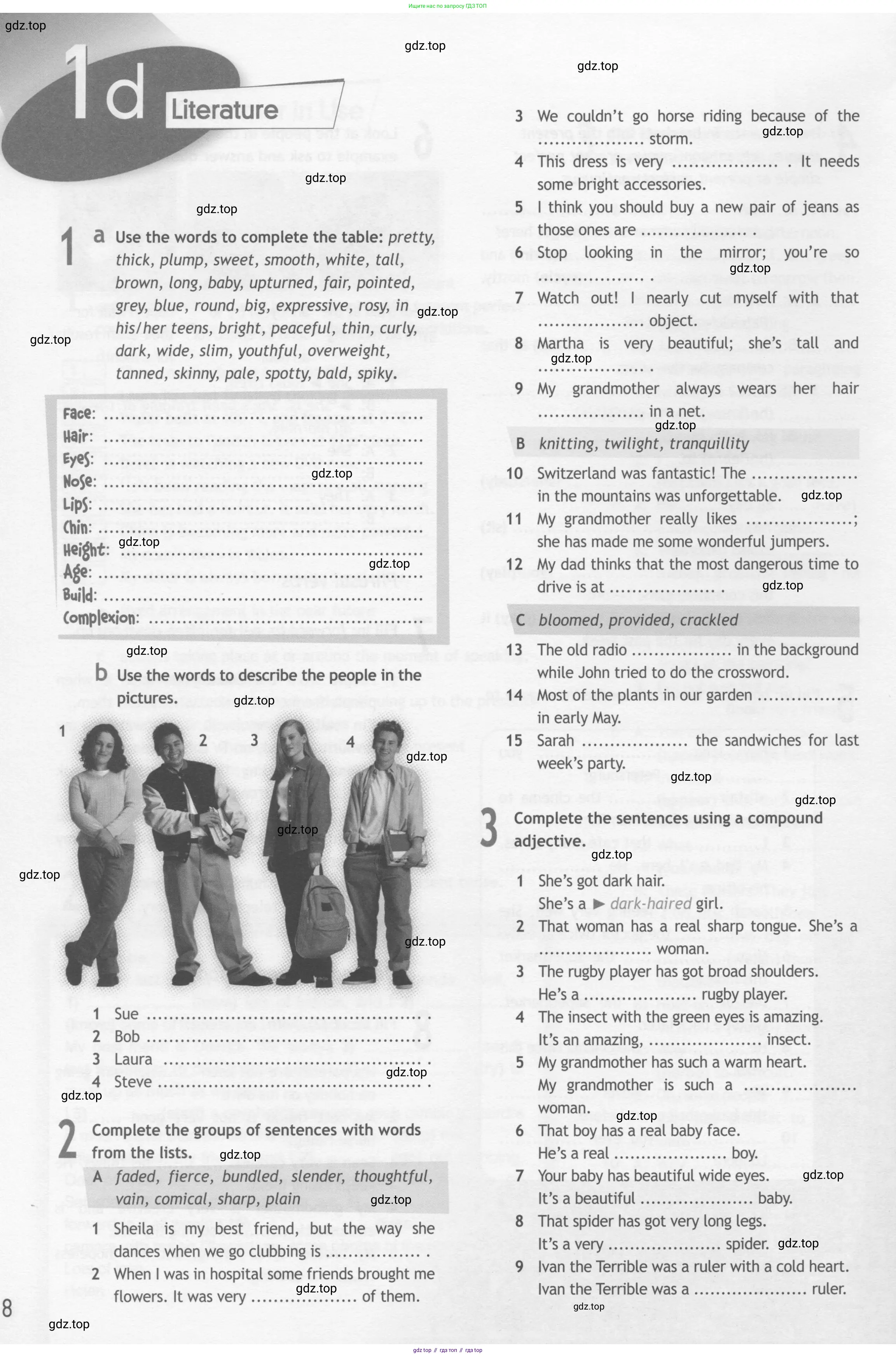 Английский язык (english), 10 класс Рабочая тетрадь (workbook), авторы: Афанасьева Ольга Васильевна (Afanasyeva Olga), Дули Дженни (Dooley Jenny), Михеева Ирина Владимировна (Mikheeva Irina), Оби Боб (Obee Bob), Эванс Вирджиния (Evans Virginia), издательство Просвещение, Москва, 2019, красного цвета, страница 8