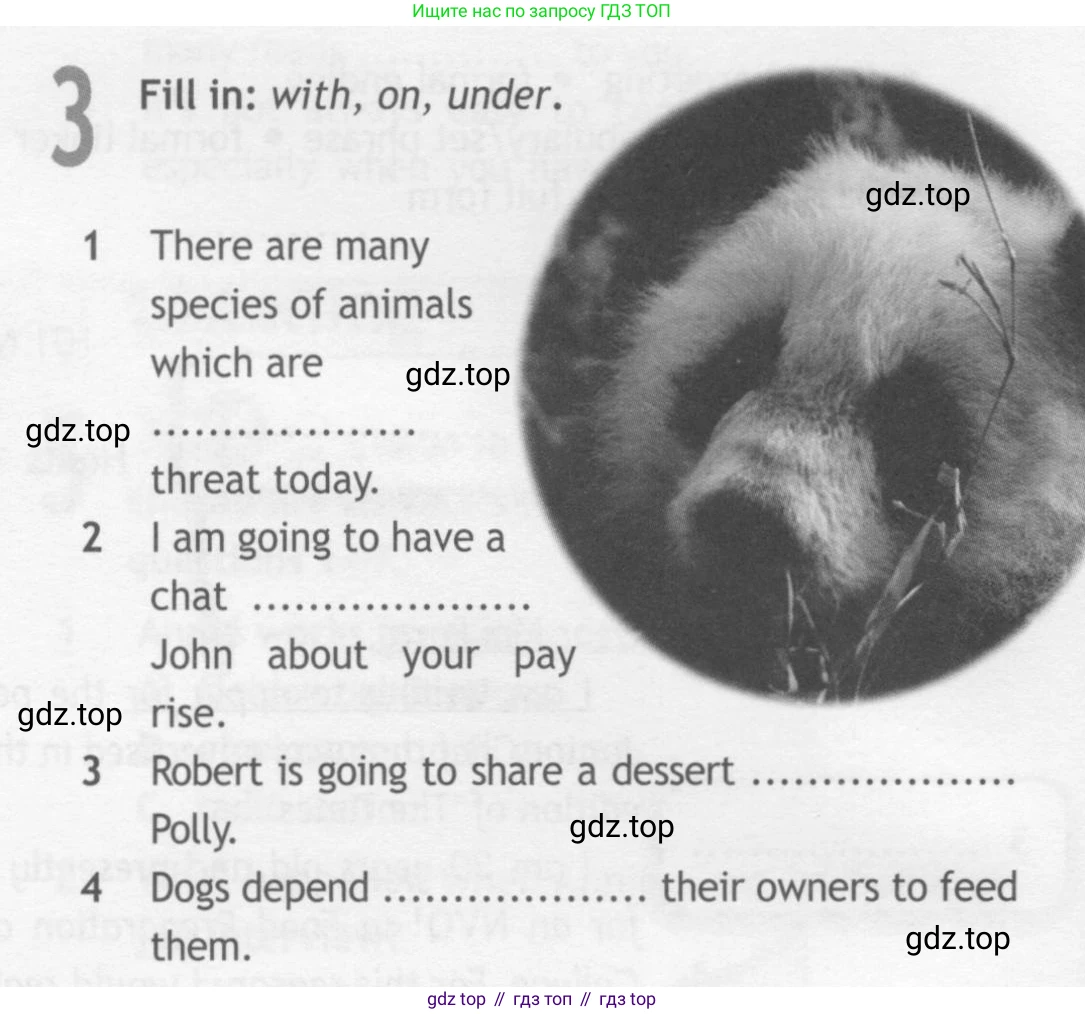 ГДЗ Английский язык (english), 10 класс Рабочая тетрадь (workbook), авторы: Афанасьева Ольга Васильевна (Afanasyeva Olga), Дули Дженни (Dooley Jenny), Михеева Ирина Владимировна (Mikheeva Irina), Оби Боб (Obee Bob), Эванс Вирджиния (Evans Virginia), издательство Просвещение, Москва, 2019, красного цвета, страница 26, номер 3, Условие
