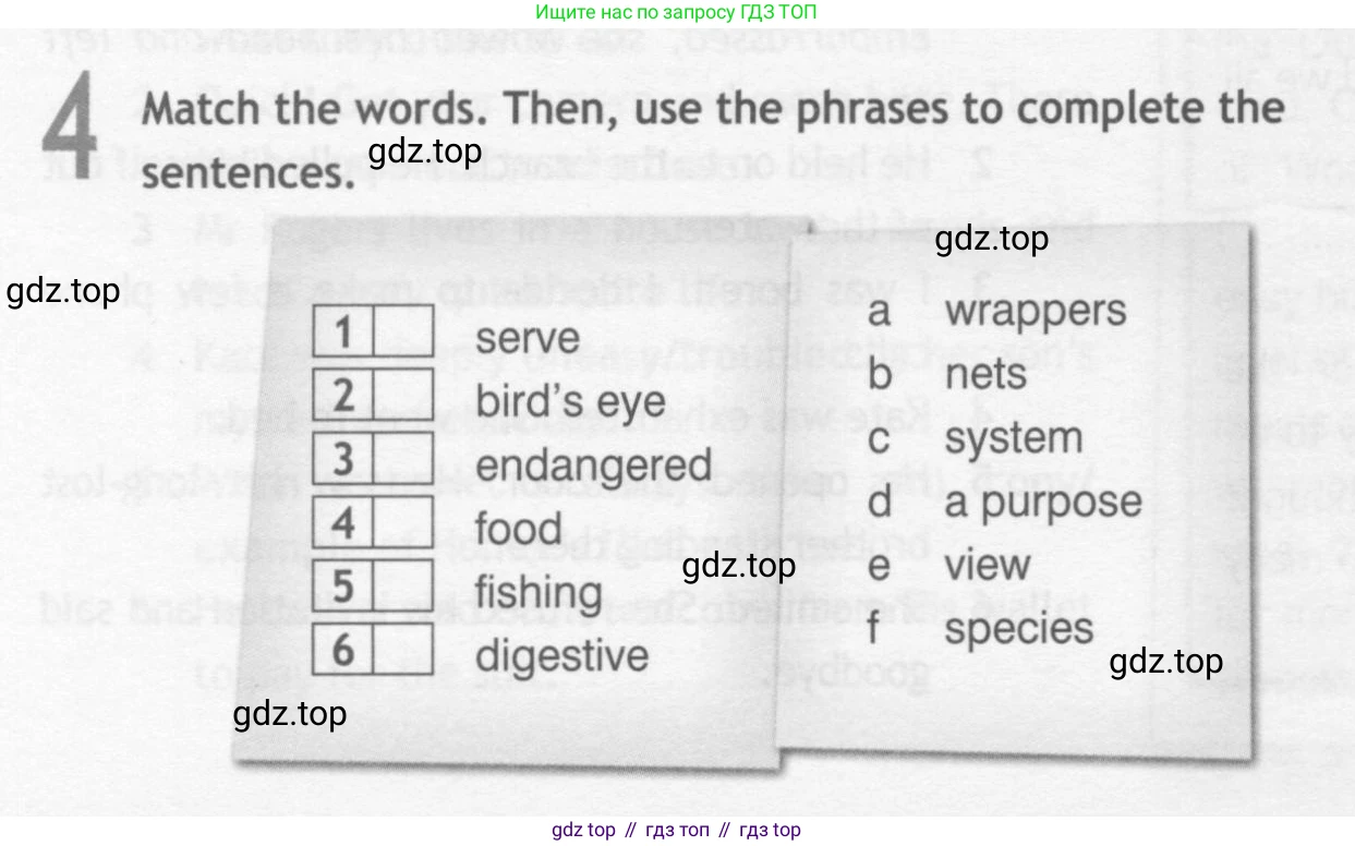 ГДЗ Английский язык (english), 10 класс Рабочая тетрадь (workbook), авторы: Афанасьева Ольга Васильевна (Afanasyeva Olga), Дули Дженни (Dooley Jenny), Михеева Ирина Владимировна (Mikheeva Irina), Оби Боб (Obee Bob), Эванс Вирджиния (Evans Virginia), издательство Просвещение, Москва, 2019, красного цвета, страница 42, номер 4, Условие