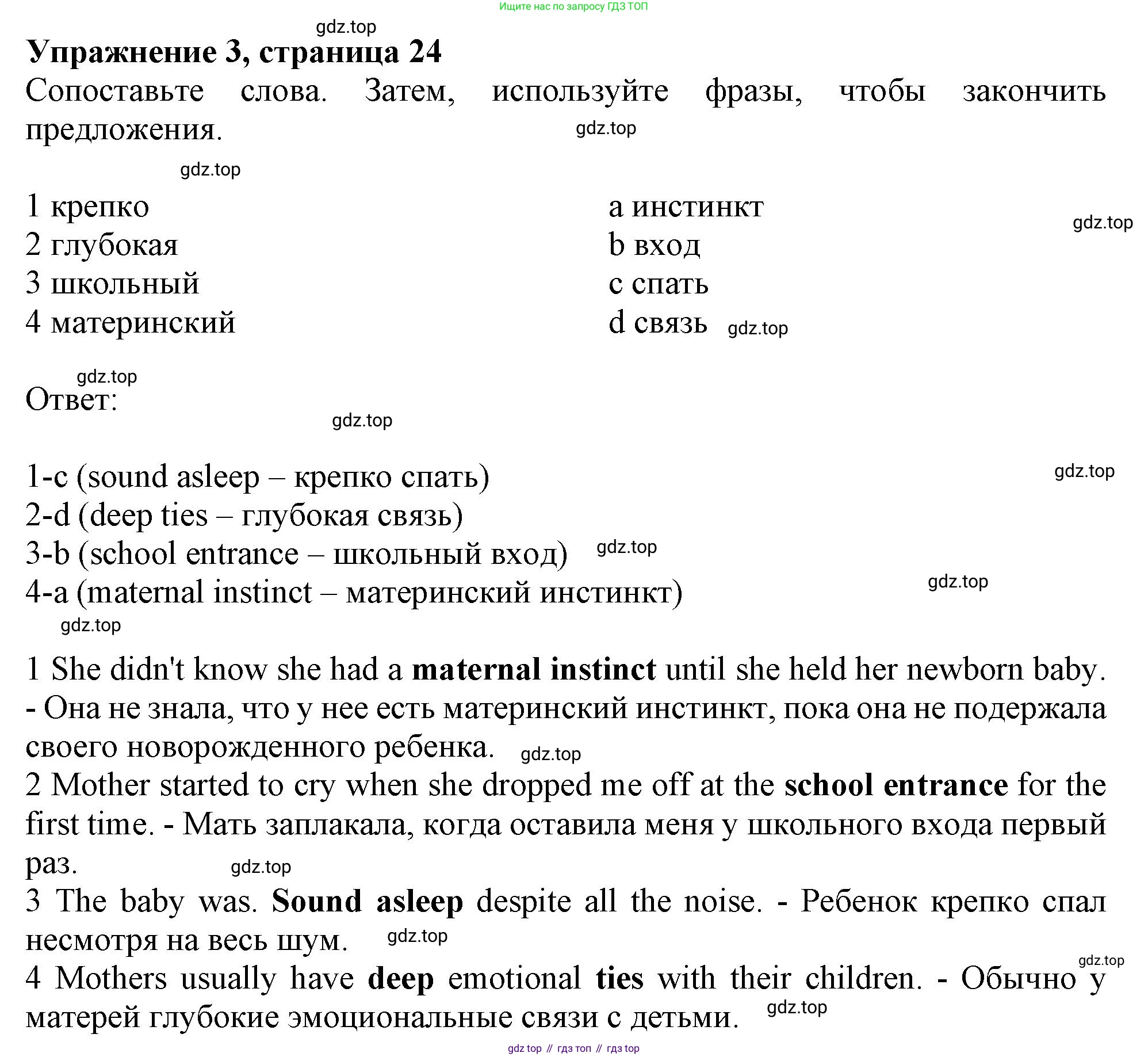 ГДЗ Английский язык (english), 10 класс Рабочая тетрадь (workbook), авторы: Афанасьева Ольга Васильевна (Afanasyeva Olga), Дули Дженни (Dooley Jenny), Михеева Ирина Владимировна (Mikheeva Irina), Оби Боб (Obee Bob), Эванс Вирджиния (Evans Virginia), издательство Просвещение, Москва, 2019, красного цвета, страница 24, номер 3, Решение 1