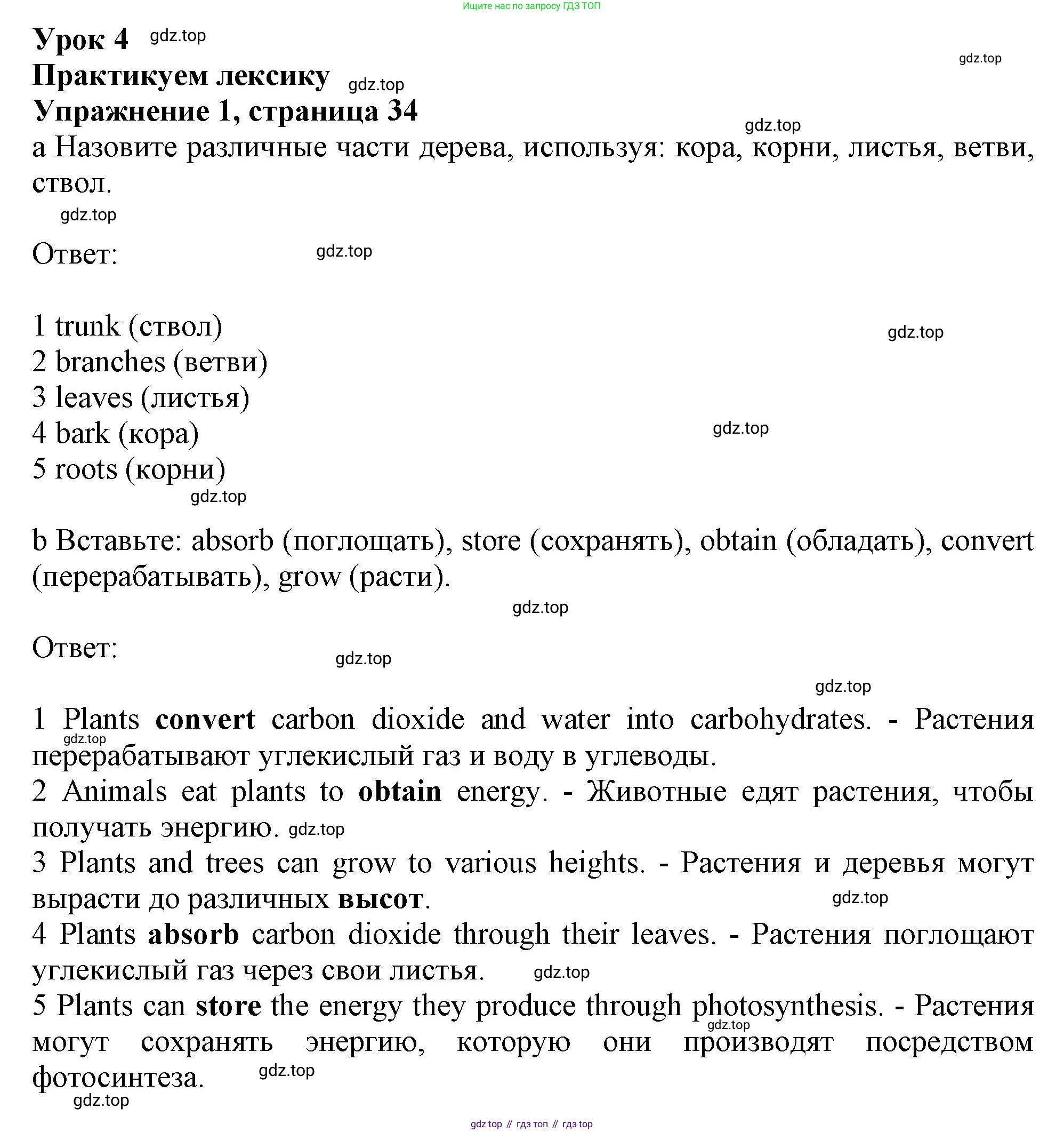 ГДЗ Английский язык (english), 10 класс Рабочая тетрадь (workbook), авторы: Афанасьева Ольга Васильевна (Afanasyeva Olga), Дули Дженни (Dooley Jenny), Михеева Ирина Владимировна (Mikheeva Irina), Оби Боб (Obee Bob), Эванс Вирджиния (Evans Virginia), издательство Просвещение, Москва, 2019, красного цвета, страница 34, номер 1, Решение 1