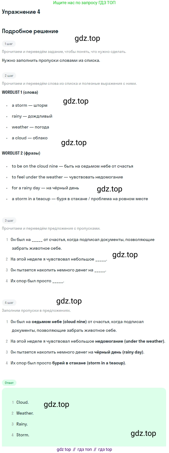 ГДЗ Английский язык (english), 10 класс Рабочая тетрадь (workbook), авторы: Афанасьева Ольга Васильевна (Afanasyeva Olga), Дули Дженни (Dooley Jenny), Михеева Ирина Владимировна (Mikheeva Irina), Оби Боб (Obee Bob), Эванс Вирджиния (Evans Virginia), издательство Просвещение, Москва, 2019, красного цвета, страница 29, номер 4, Решение 3