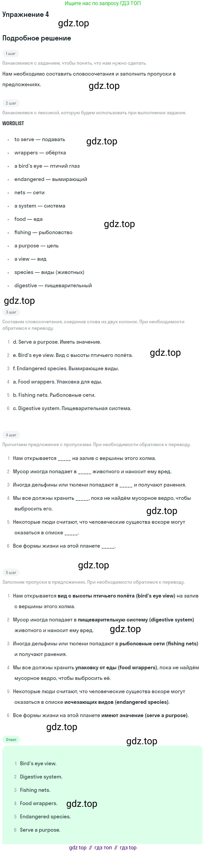ГДЗ Английский язык (english), 10 класс Рабочая тетрадь (workbook), авторы: Афанасьева Ольга Васильевна (Afanasyeva Olga), Дули Дженни (Dooley Jenny), Михеева Ирина Владимировна (Mikheeva Irina), Оби Боб (Obee Bob), Эванс Вирджиния (Evans Virginia), издательство Просвещение, Москва, 2019, красного цвета, страница 42, номер 4, Решение 3