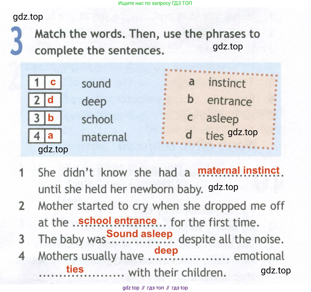 ГДЗ Английский язык (english), 10 класс Рабочая тетрадь (workbook), авторы: Афанасьева Ольга Васильевна (Afanasyeva Olga), Дули Дженни (Dooley Jenny), Михеева Ирина Владимировна (Mikheeva Irina), Оби Боб (Obee Bob), Эванс Вирджиния (Evans Virginia), издательство Просвещение, Москва, 2019, красного цвета, страница 24, номер 3, Решение 2