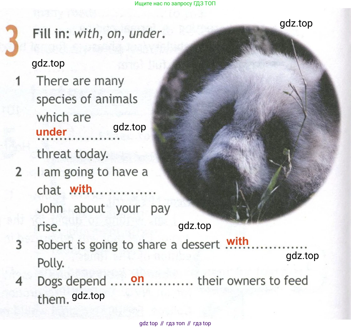 ГДЗ Английский язык (english), 10 класс Рабочая тетрадь (workbook), авторы: Афанасьева Ольга Васильевна (Afanasyeva Olga), Дули Дженни (Dooley Jenny), Михеева Ирина Владимировна (Mikheeva Irina), Оби Боб (Obee Bob), Эванс Вирджиния (Evans Virginia), издательство Просвещение, Москва, 2019, красного цвета, страница 26, номер 3, Решение 2