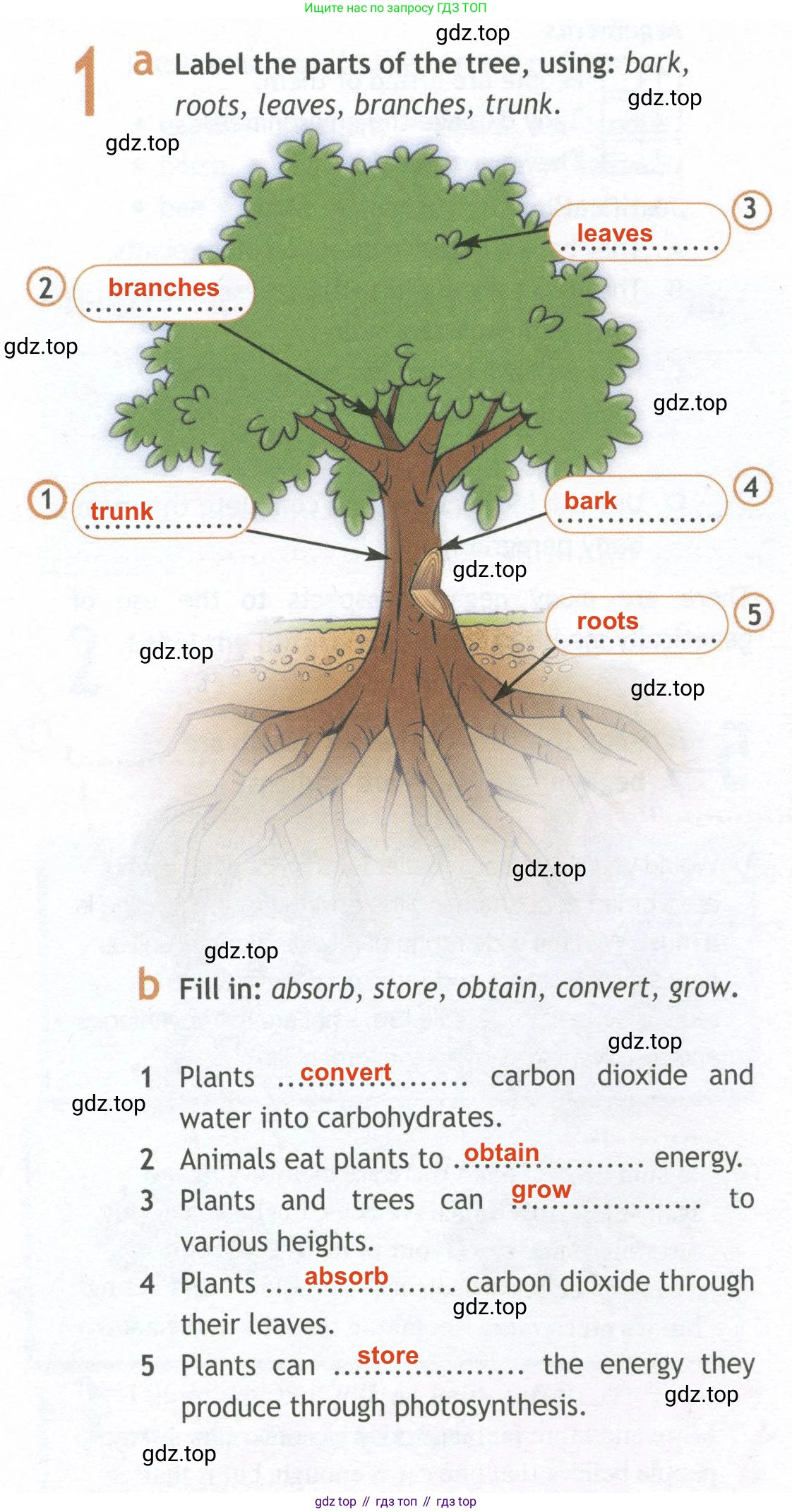 ГДЗ Английский язык (english), 10 класс Рабочая тетрадь (workbook), авторы: Афанасьева Ольга Васильевна (Afanasyeva Olga), Дули Дженни (Dooley Jenny), Михеева Ирина Владимировна (Mikheeva Irina), Оби Боб (Obee Bob), Эванс Вирджиния (Evans Virginia), издательство Просвещение, Москва, 2019, красного цвета, страница 34, номер 1, Решение 2