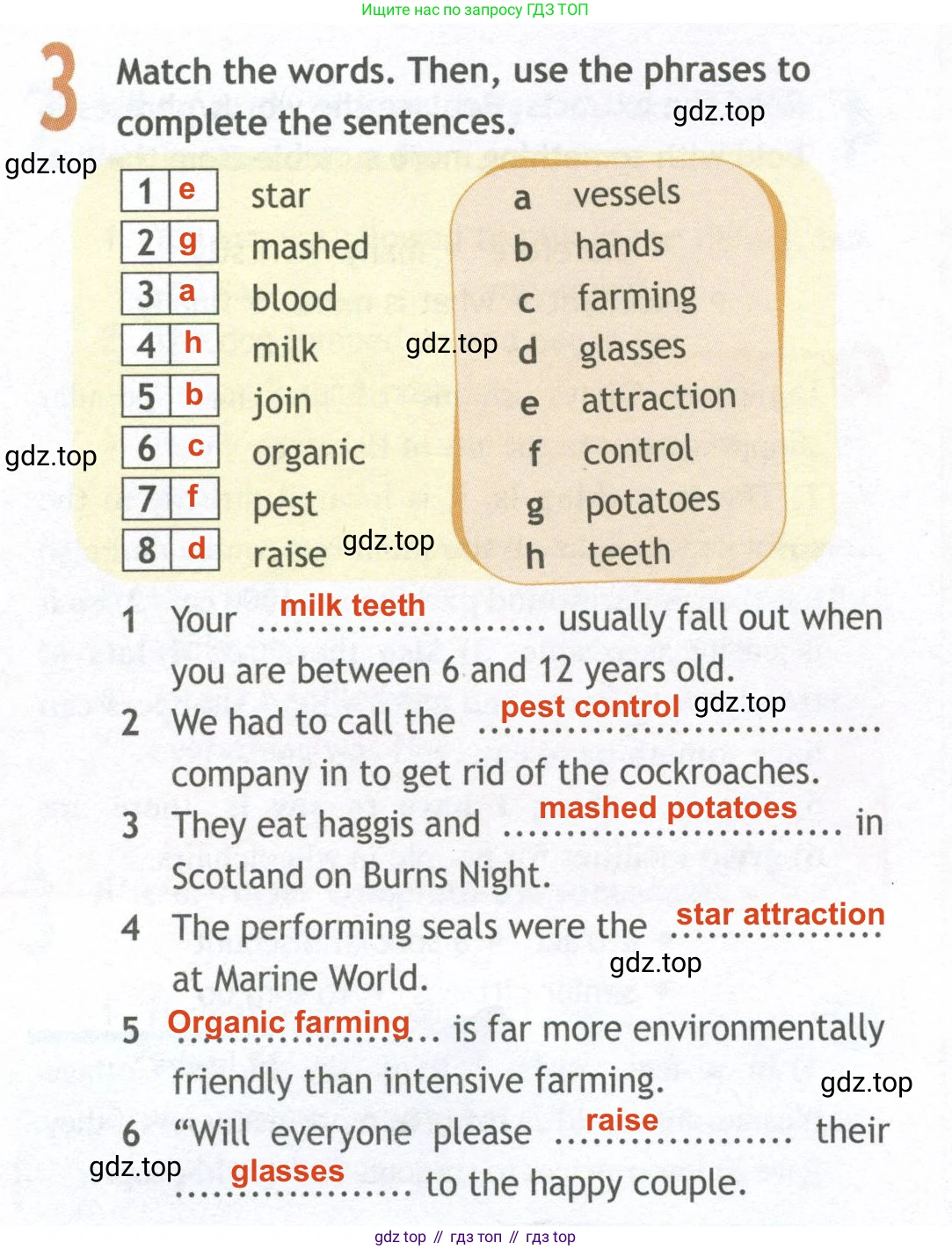 ГДЗ Английский язык (english), 10 класс Рабочая тетрадь (workbook), авторы: Афанасьева Ольга Васильевна (Afanasyeva Olga), Дули Дженни (Dooley Jenny), Михеева Ирина Владимировна (Mikheeva Irina), Оби Боб (Obee Bob), Эванс Вирджиния (Evans Virginia), издательство Просвещение, Москва, 2019, красного цвета, страница 50, номер 3, Решение 2