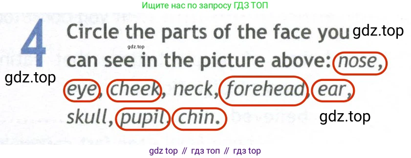 ГДЗ Английский язык (english), 10 класс Рабочая тетрадь (workbook), авторы: Афанасьева Ольга Васильевна (Afanasyeva Olga), Дули Дженни (Dooley Jenny), Михеева Ирина Владимировна (Mikheeva Irina), Оби Боб (Obee Bob), Эванс Вирджиния (Evans Virginia), издательство Просвещение, Москва, 2019, красного цвета, страница 56, номер 4, Решение 2