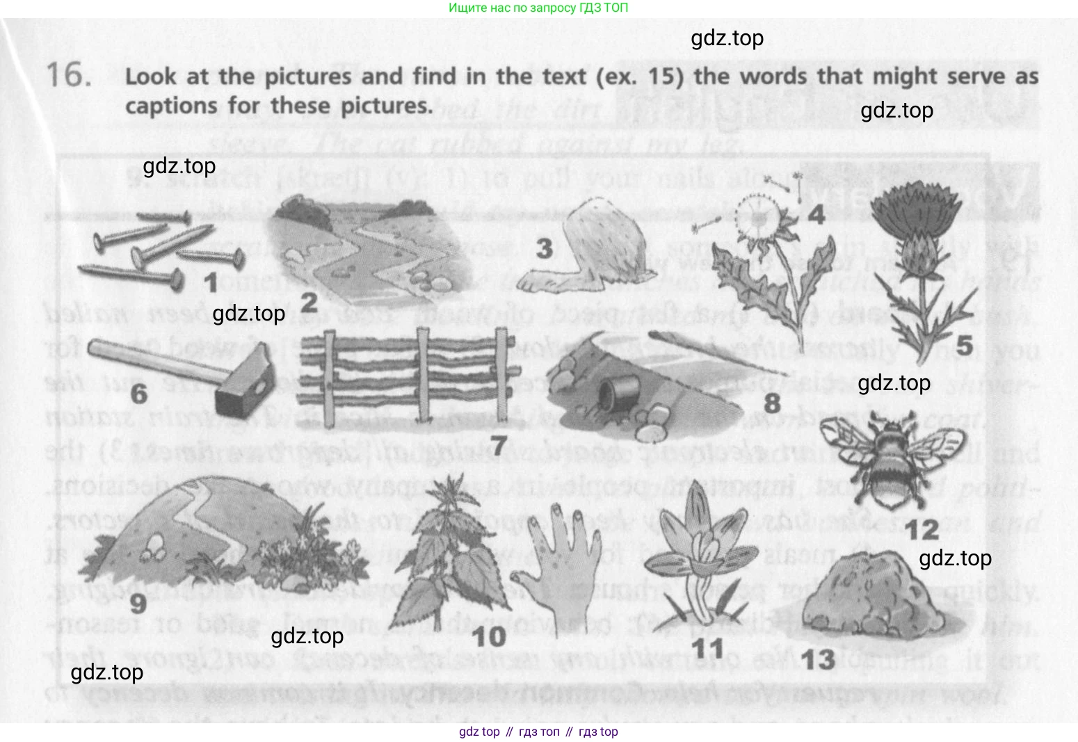 Английский язык (english), 10 класс Учебник (Student's book), авторы: Афанасьева Ольга Васильевна (Afanasyeva Olga), Михеева Ирина Владимировна (Mikheeva Irina), издательство Просвещение, Москва, 2014, белого цвета, страница 113, номер 16, Условие