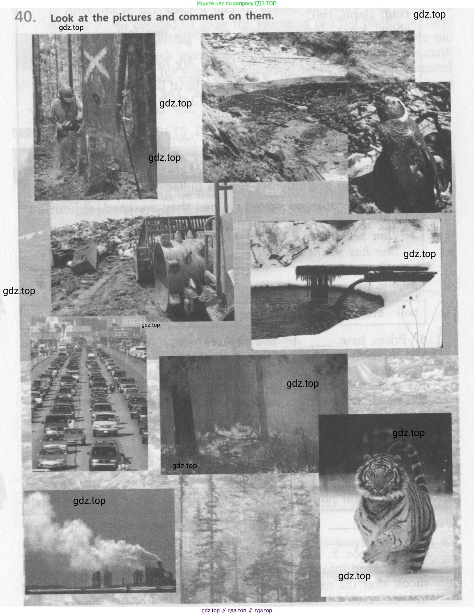 Английский язык (english), 10 класс Учебник (Student's book), авторы: Афанасьева Ольга Васильевна (Afanasyeva Olga), Михеева Ирина Владимировна (Mikheeva Irina), издательство Просвещение, Москва, 2014, белого цвета, страница 132, номер 40, Условие