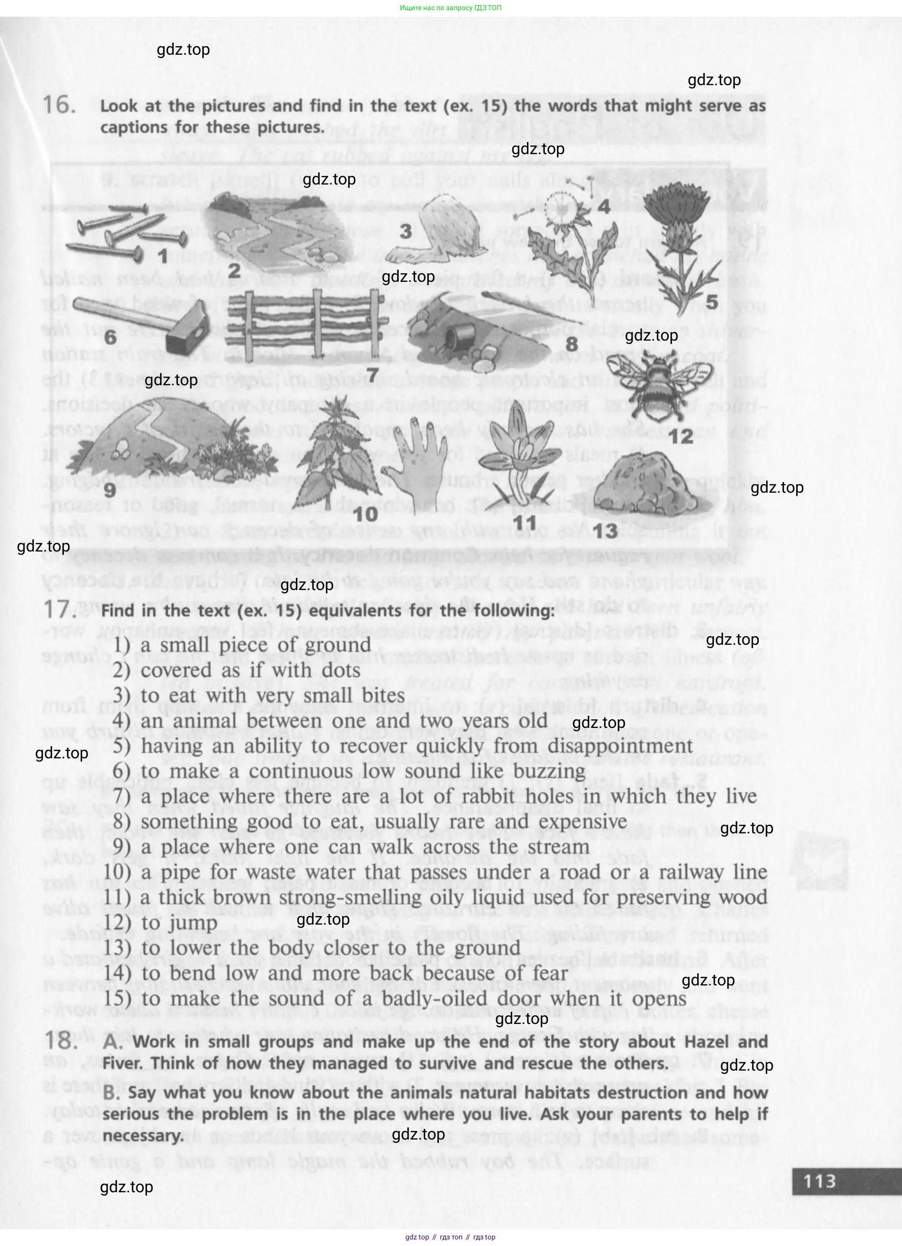 Английский язык (english), 10 класс Учебник (Student's book), авторы: Афанасьева Ольга Васильевна (Afanasyeva Olga), Михеева Ирина Владимировна (Mikheeva Irina), издательство Просвещение, Москва, 2014, белого цвета, страница 115