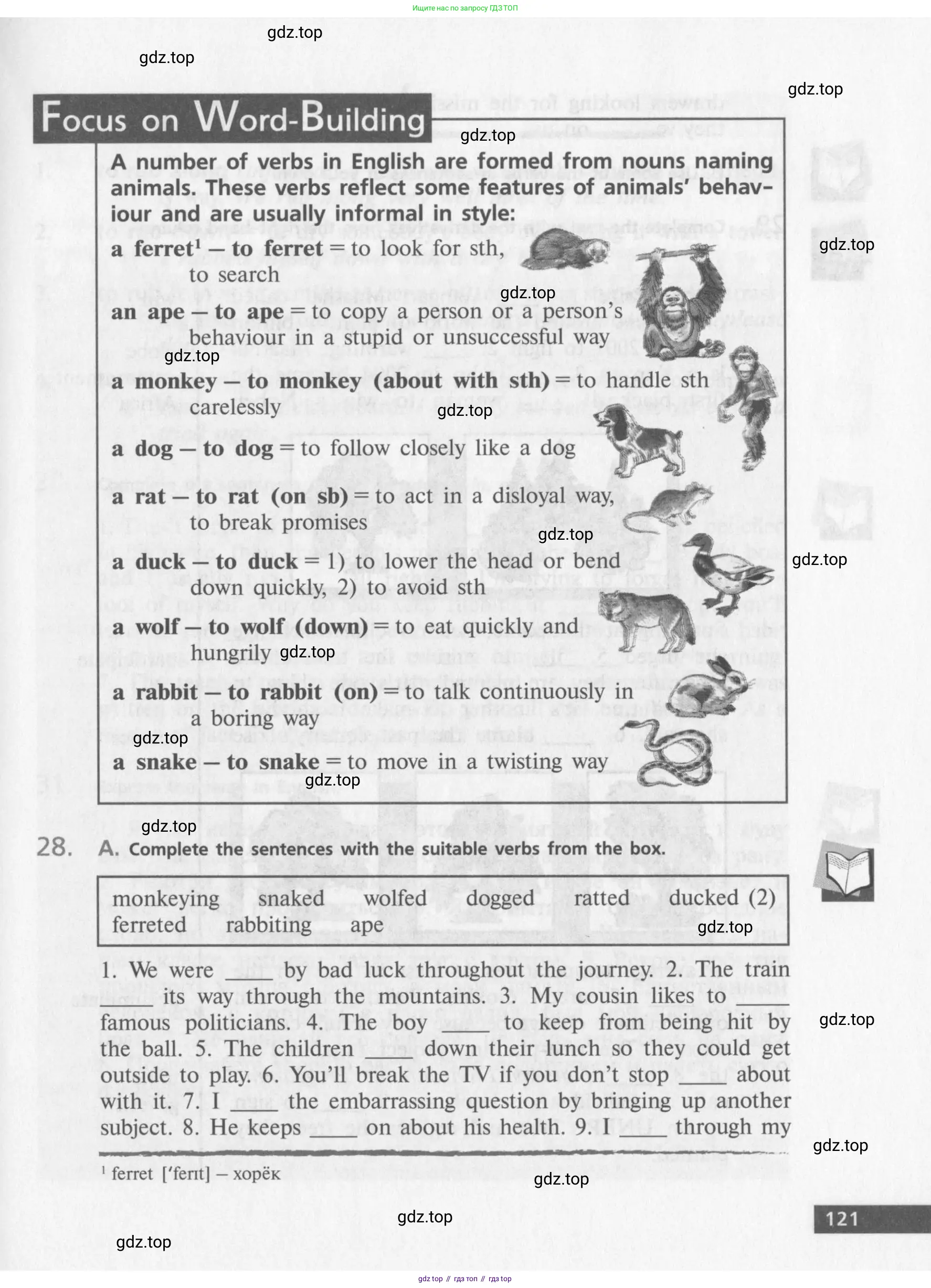 Английский язык (english), 10 класс Учебник (Student's book), авторы: Афанасьева Ольга Васильевна (Afanasyeva Olga), Михеева Ирина Владимировна (Mikheeva Irina), издательство Просвещение, Москва, 2014, белого цвета, страница 123