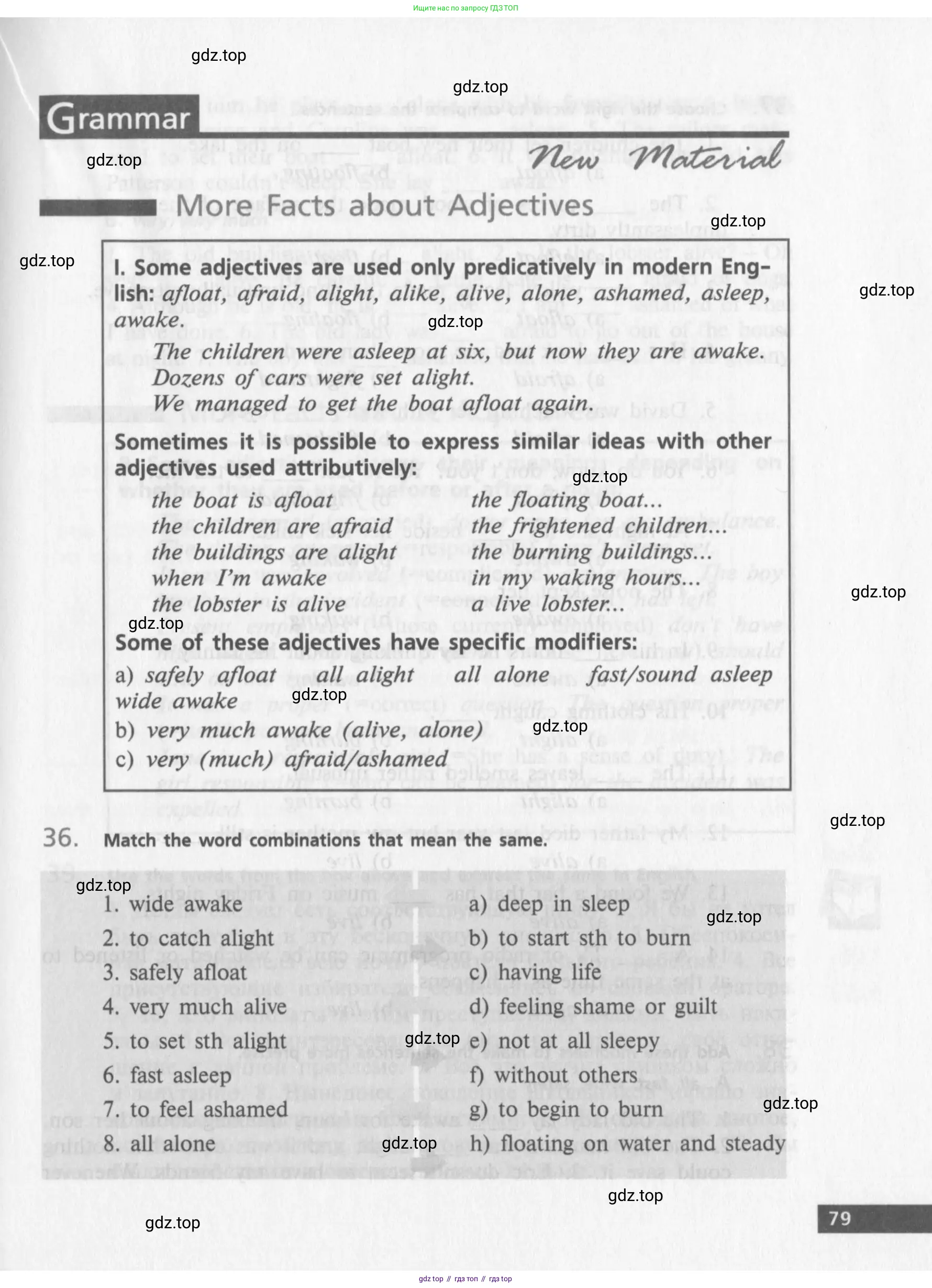Английский язык (english), 10 класс Учебник (Student's book), авторы: Афанасьева Ольга Васильевна (Afanasyeva Olga), Михеева Ирина Владимировна (Mikheeva Irina), издательство Просвещение, Москва, 2014, белого цвета, страница 81