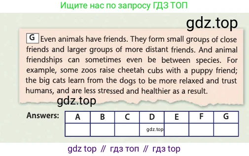 Английский язык (english), 10 класс Учебник (Student's book), авторы: Афанасьева Ольга Васильевна (Afanasyeva Olga), Дули Дженни (Dooley Jenny), Михеева Ирина Владимировна (Mikheeva Irina), Оби Боб (Obee Bob), Эванс Вирджиния (Evans Virginia), издательство Просвещение, Москва, 2019, красного цвета, страница 24, Условие (продолжение 3)