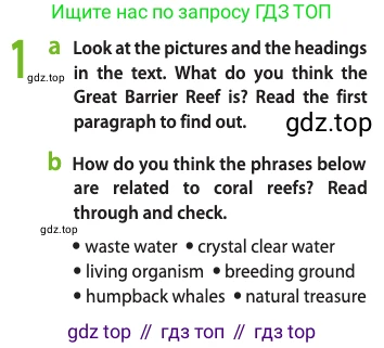 Английский язык (english), 10 класс Учебник (Student's book), авторы: Афанасьева Ольга Васильевна (Afanasyeva Olga), Дули Дженни (Dooley Jenny), Михеева Ирина Владимировна (Mikheeva Irina), Оби Боб (Obee Bob), Эванс Вирджиния (Evans Virginia), издательство Просвещение, Москва, 2019, красного цвета, страница 75, номер 1, Условие