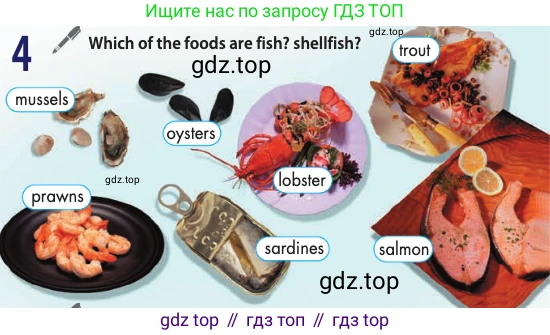 Английский язык (english), 10 класс Учебник (Student's book), авторы: Афанасьева Ольга Васильевна (Afanasyeva Olga), Дули Дженни (Dooley Jenny), Михеева Ирина Владимировна (Mikheeva Irina), Оби Боб (Obee Bob), Эванс Вирджиния (Evans Virginia), издательство Просвещение, Москва, 2019, красного цвета, страница 163, номер 4, Условие