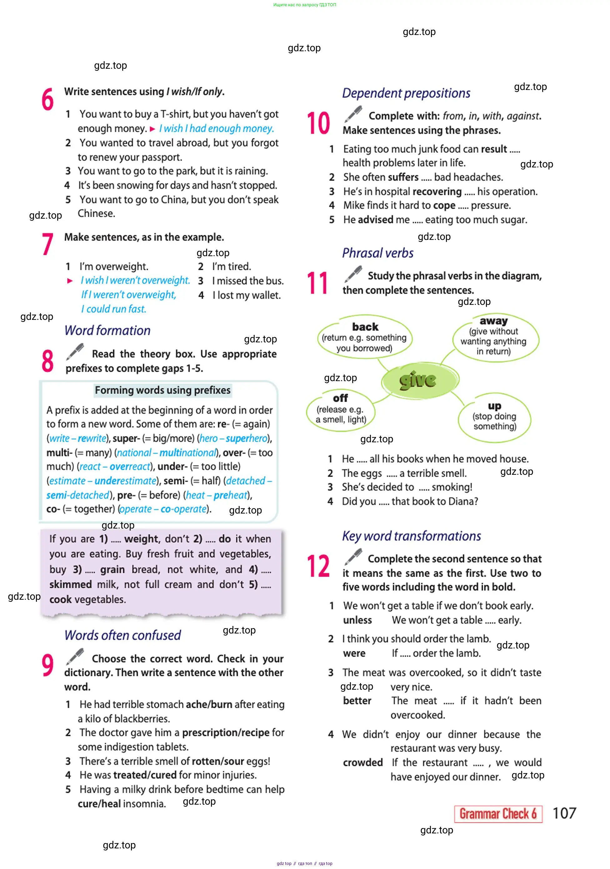 Английский язык (english), 10 класс Учебник (Student's book), авторы: Афанасьева Ольга Васильевна (Afanasyeva Olga), Дули Дженни (Dooley Jenny), Михеева Ирина Владимировна (Mikheeva Irina), Оби Боб (Obee Bob), Эванс Вирджиния (Evans Virginia), издательство Просвещение, Москва, 2019, красного цвета, страница 107