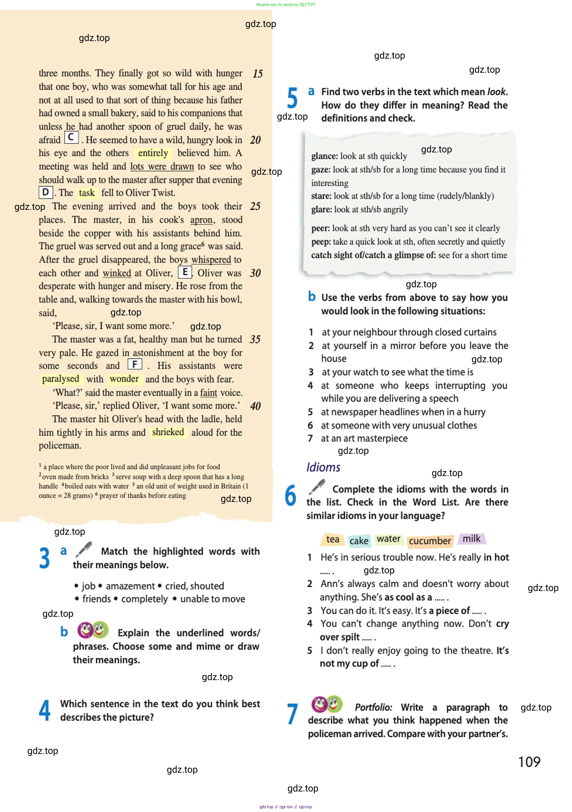 Английский язык (english), 10 класс Учебник (Student's book), авторы: Афанасьева Ольга Васильевна (Afanasyeva Olga), Дули Дженни (Dooley Jenny), Михеева Ирина Владимировна (Mikheeva Irina), Оби Боб (Obee Bob), Эванс Вирджиния (Evans Virginia), издательство Просвещение, Москва, 2019, красного цвета, страница 109