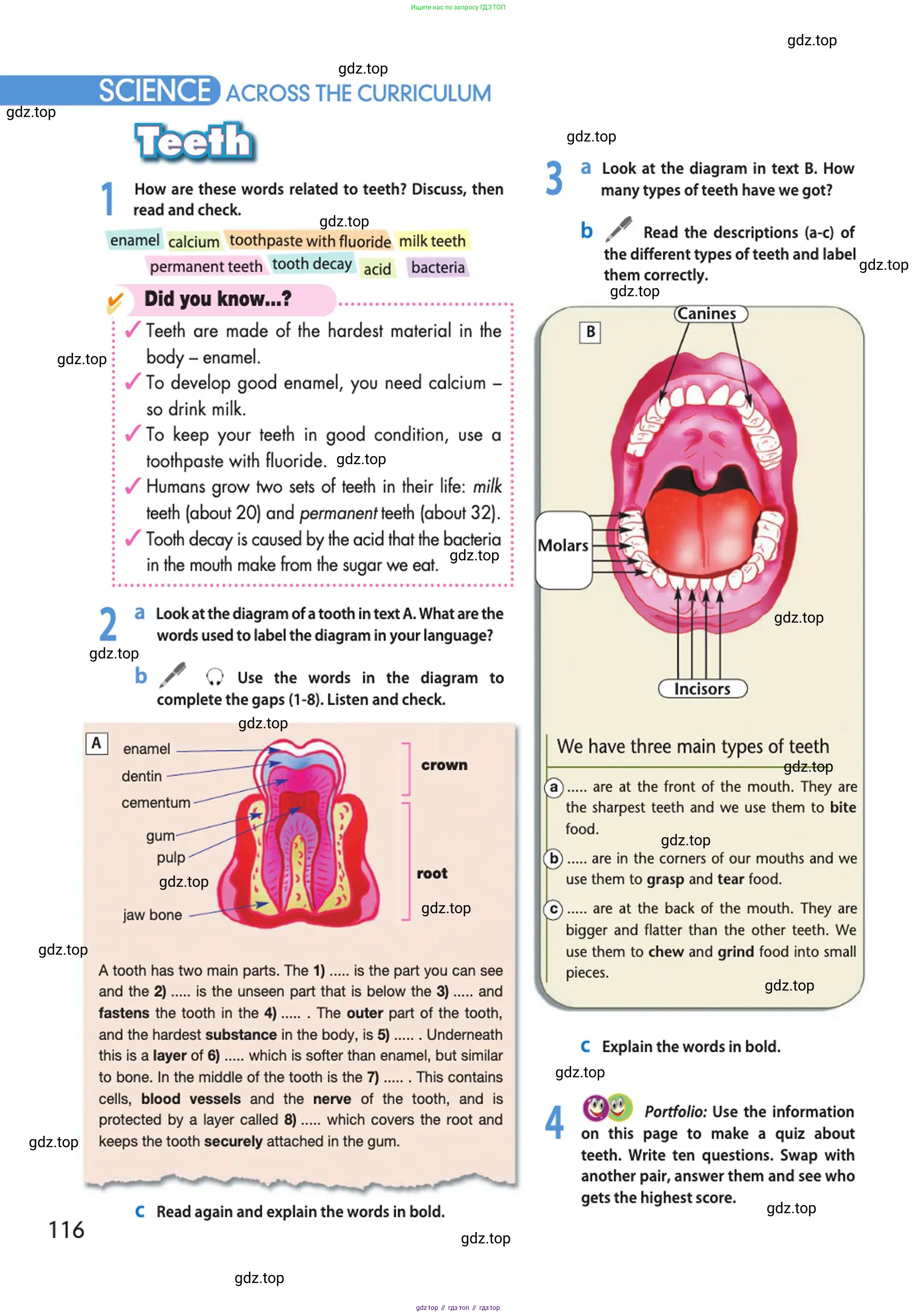 Английский язык (english), 10 класс Учебник (Student's book), авторы: Афанасьева Ольга Васильевна (Afanasyeva Olga), Дули Дженни (Dooley Jenny), Михеева Ирина Владимировна (Mikheeva Irina), Оби Боб (Obee Bob), Эванс Вирджиния (Evans Virginia), издательство Просвещение, Москва, 2019, красного цвета, страница 116