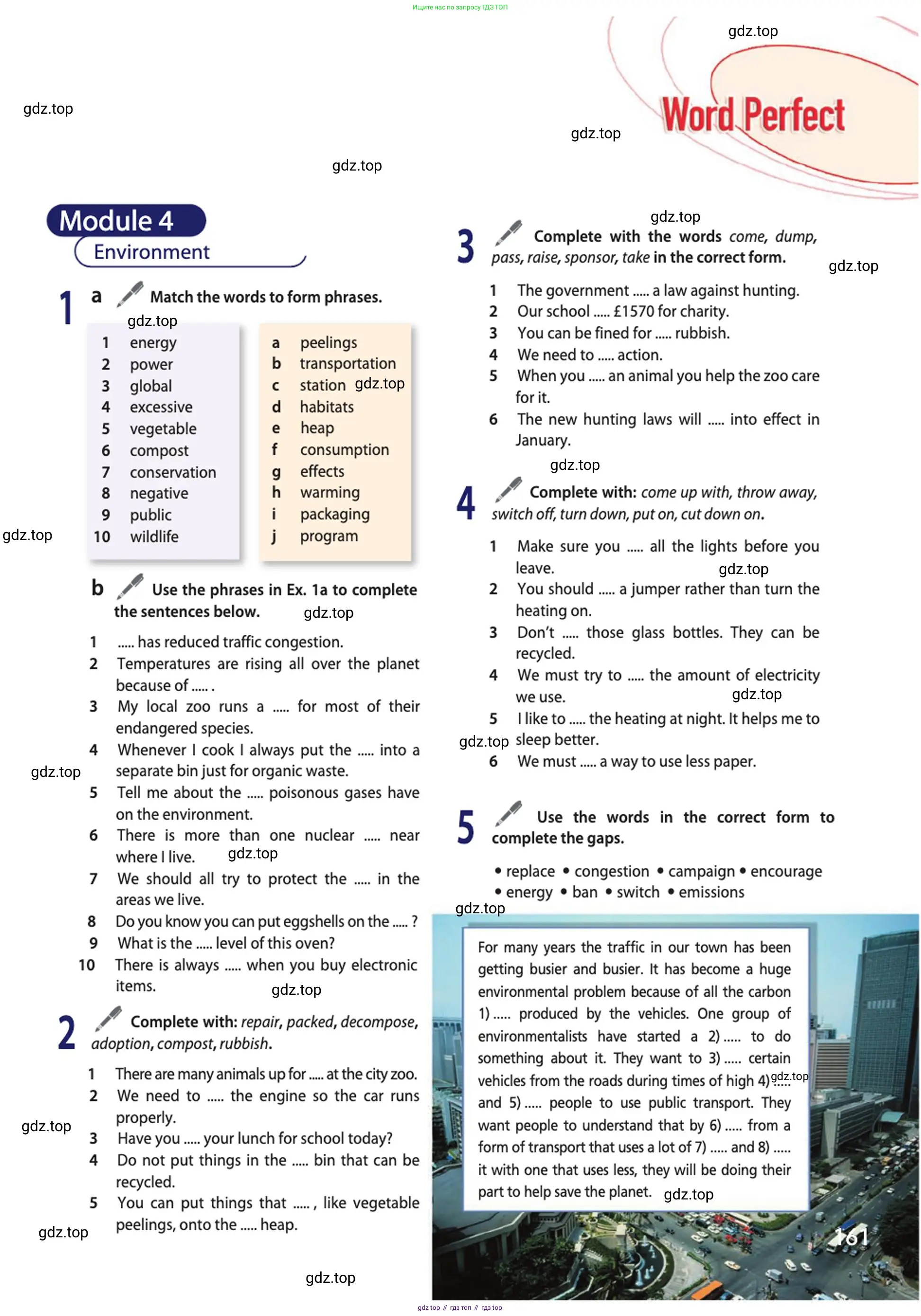 Английский язык (english), 10 класс Учебник (Student's book), авторы: Афанасьева Ольга Васильевна (Afanasyeva Olga), Дули Дженни (Dooley Jenny), Михеева Ирина Владимировна (Mikheeva Irina), Оби Боб (Obee Bob), Эванс Вирджиния (Evans Virginia), издательство Просвещение, Москва, 2019, красного цвета, страница 161