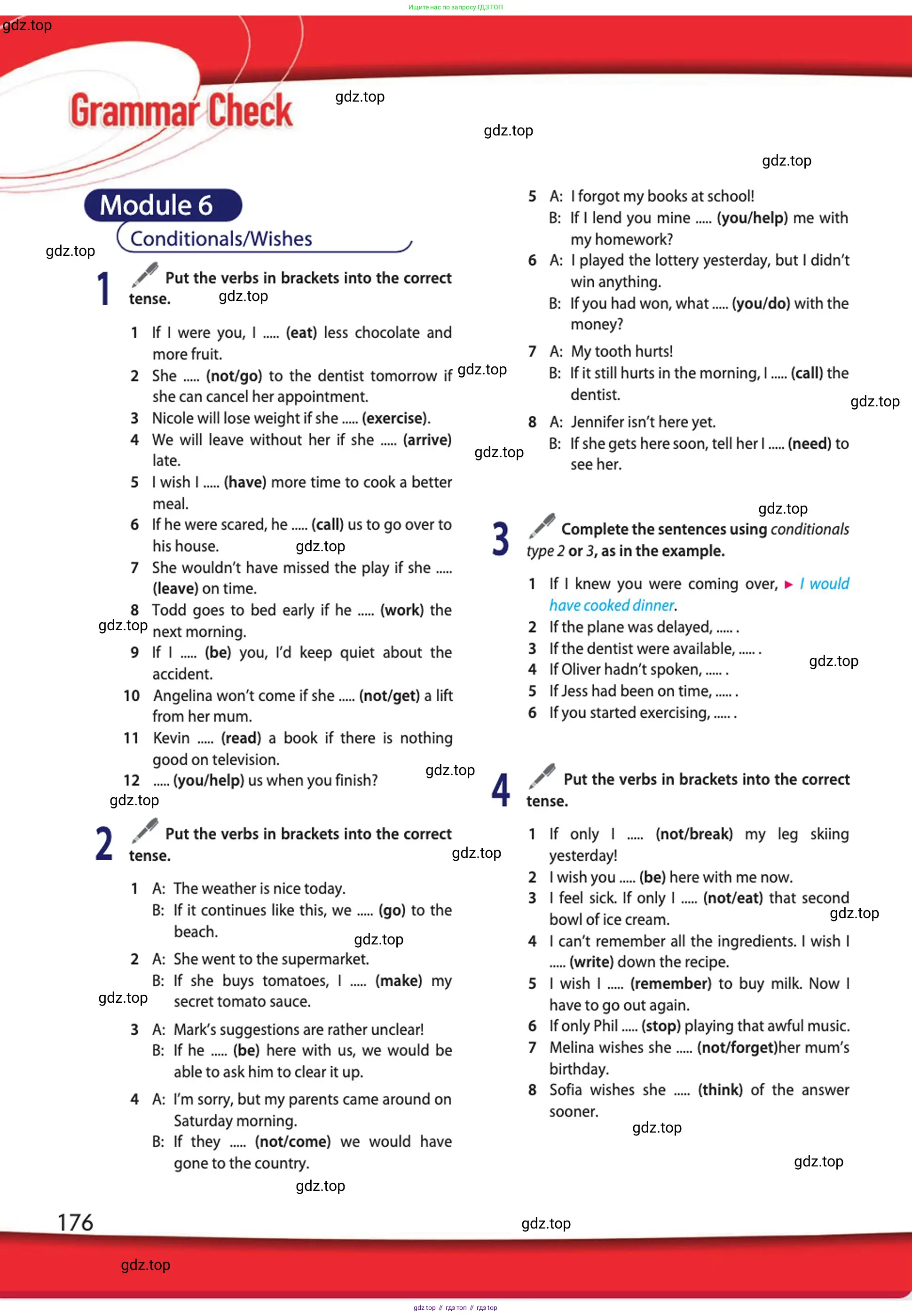 Английский язык (english), 10 класс Учебник (Student's book), авторы: Афанасьева Ольга Васильевна (Afanasyeva Olga), Дули Дженни (Dooley Jenny), Михеева Ирина Владимировна (Mikheeva Irina), Оби Боб (Obee Bob), Эванс Вирджиния (Evans Virginia), издательство Просвещение, Москва, 2019, красного цвета, страница 176